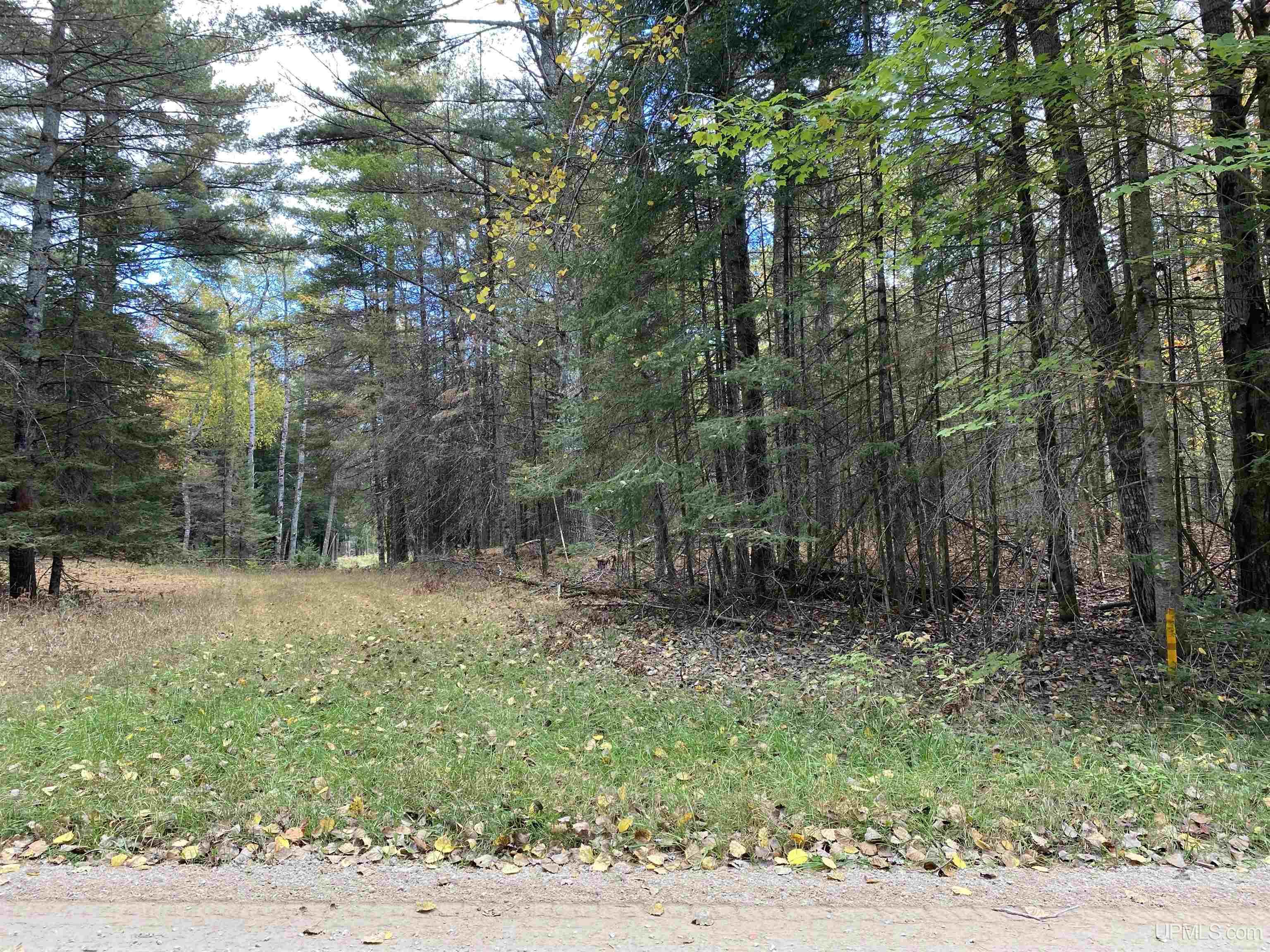 TBD East Stonington Aa.5 Road, Rapid River, MI, 49878