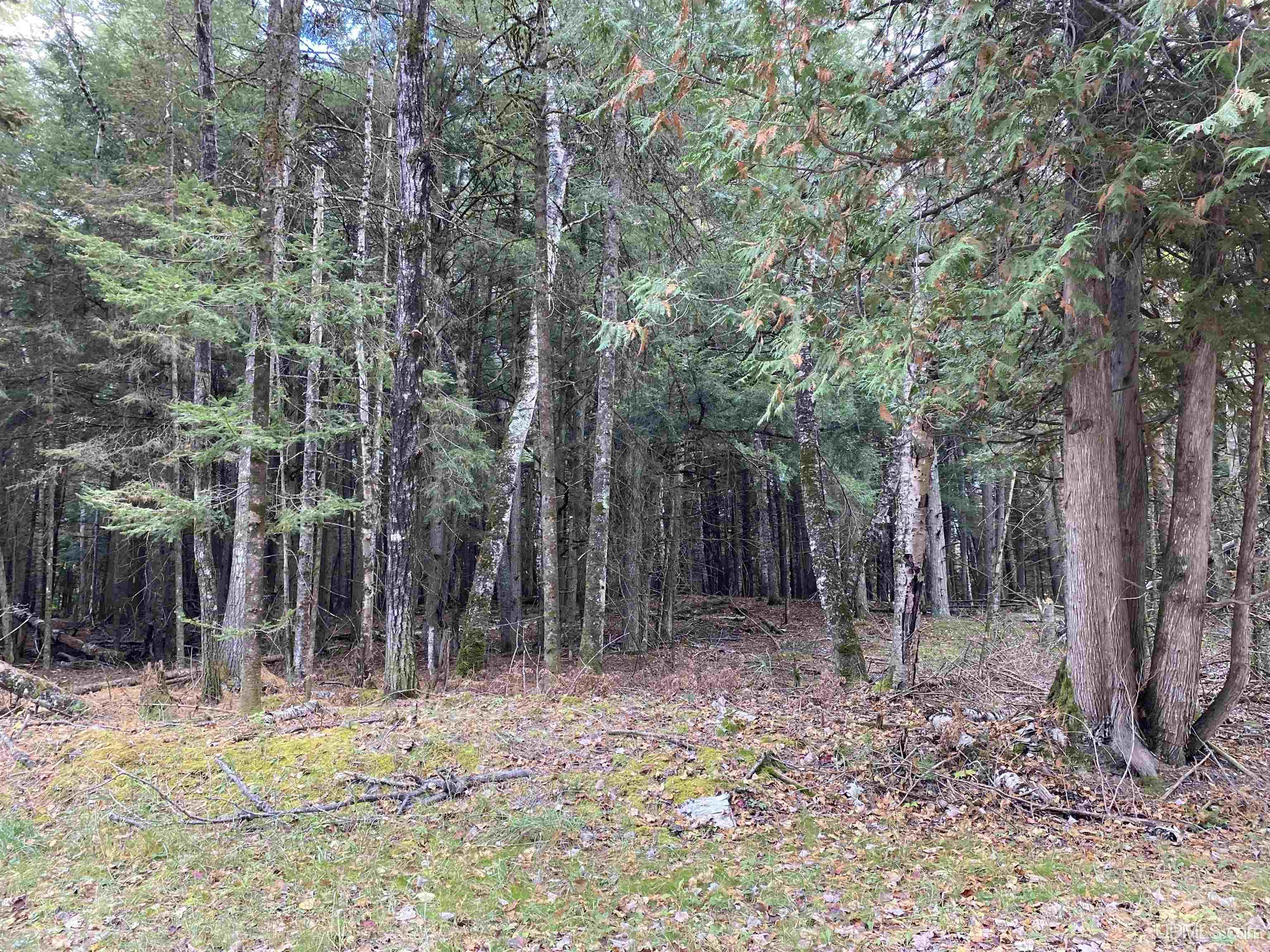 TBD East Stonington Aa.5 Road, Rapid River, MI, 49878