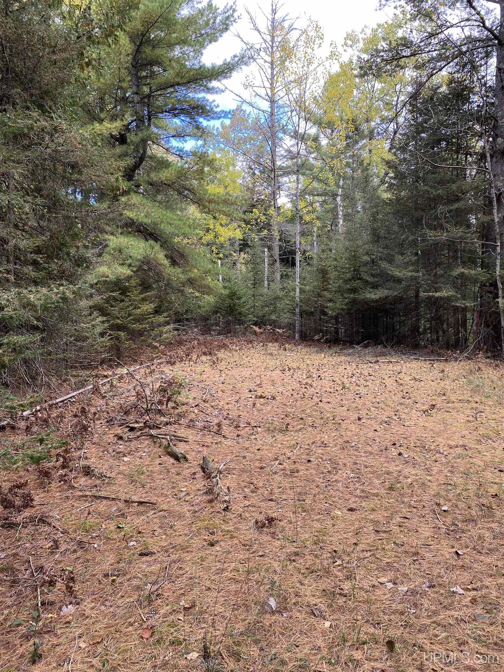 TBD East Stonington Aa.5 Road, Rapid River, MI, 49878