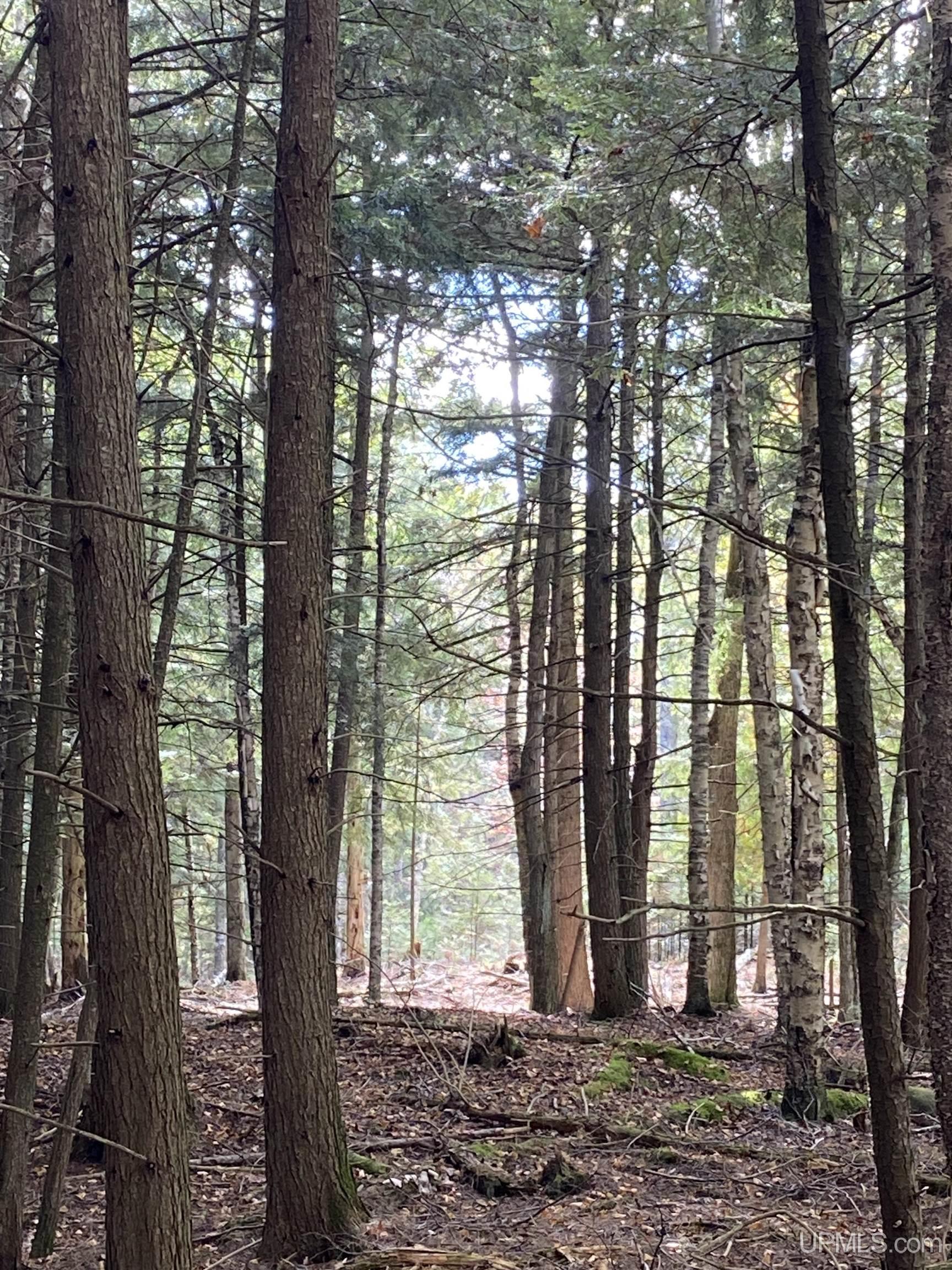 TBD East Stonington Aa.5 Road, Rapid River, MI, 49878