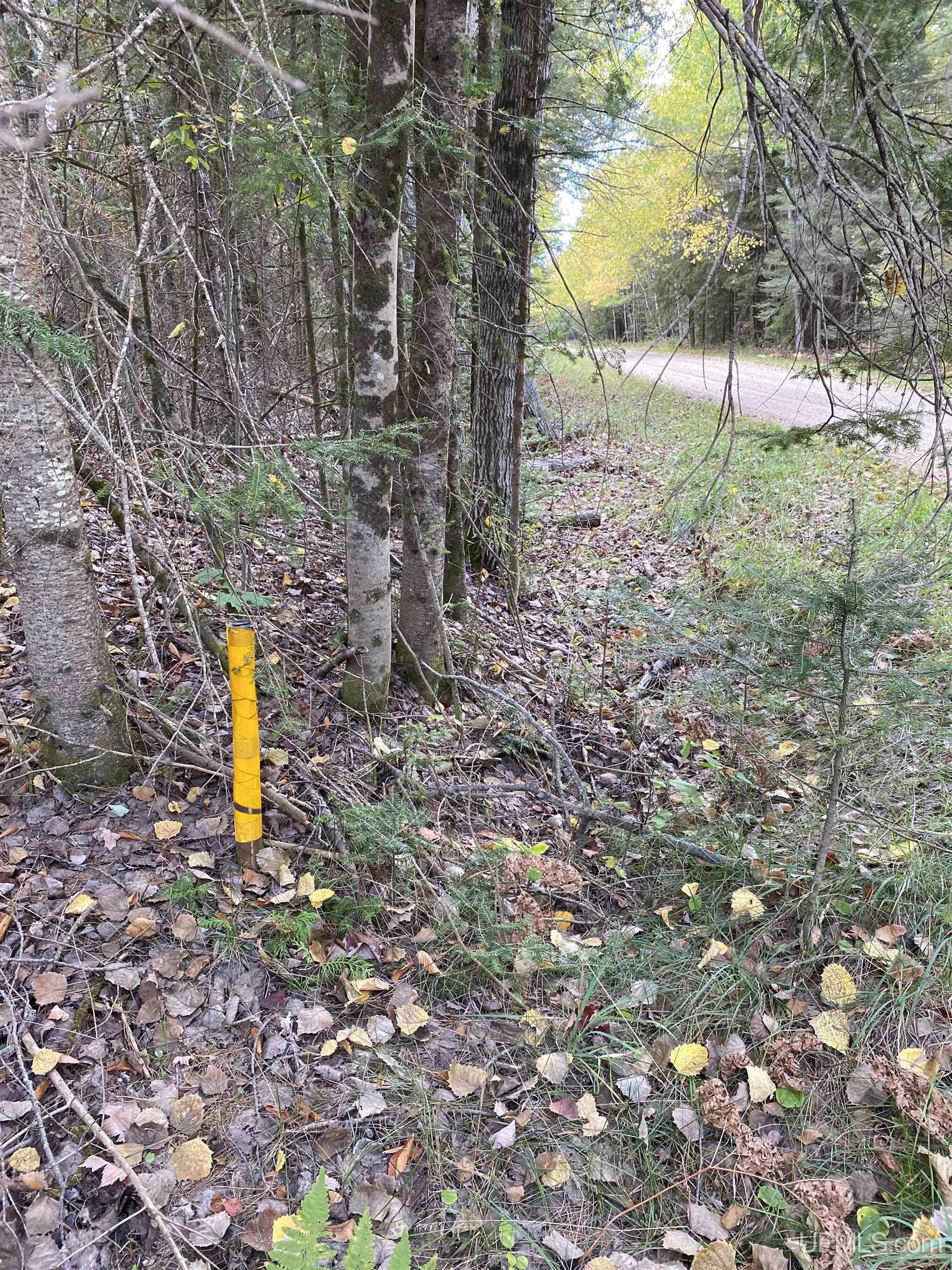 TBD East Stonington Aa.5 Road, Rapid River, MI, 49878