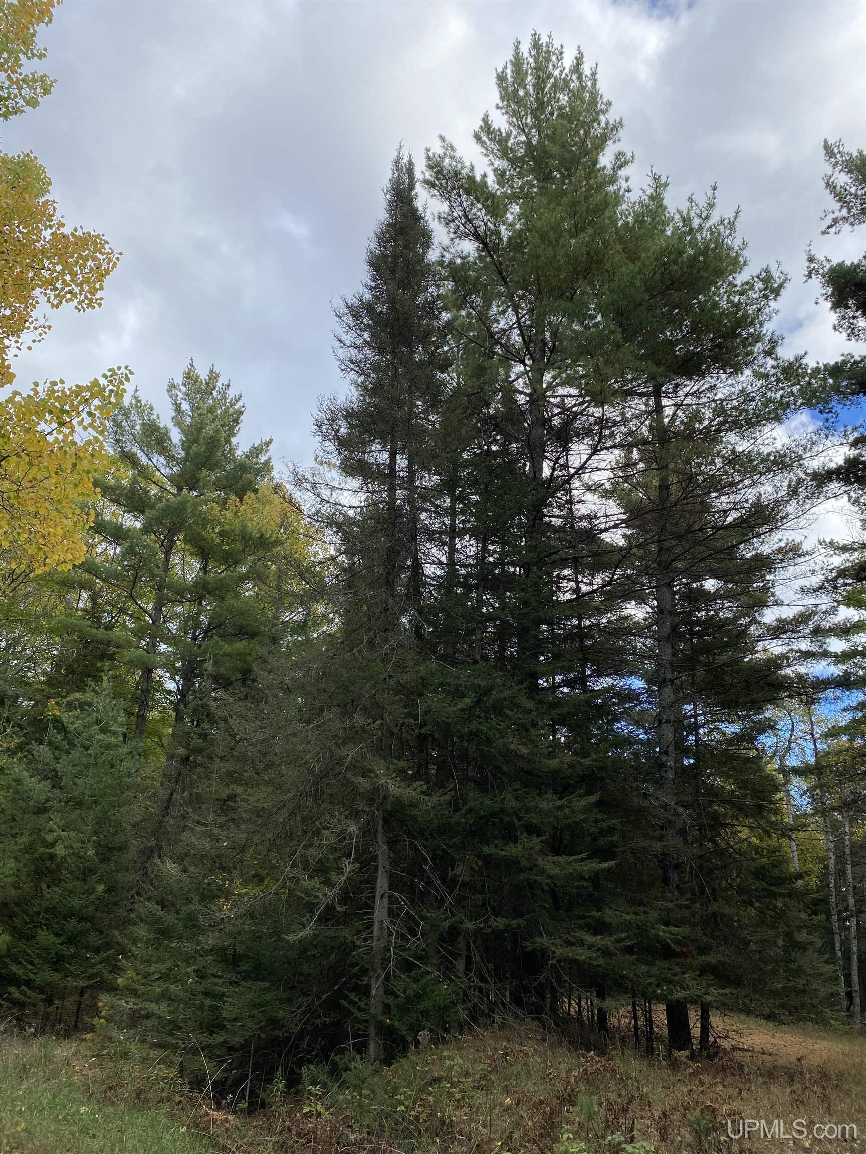 TBD East Stonington Aa.5 Road, Rapid River, MI, 49878