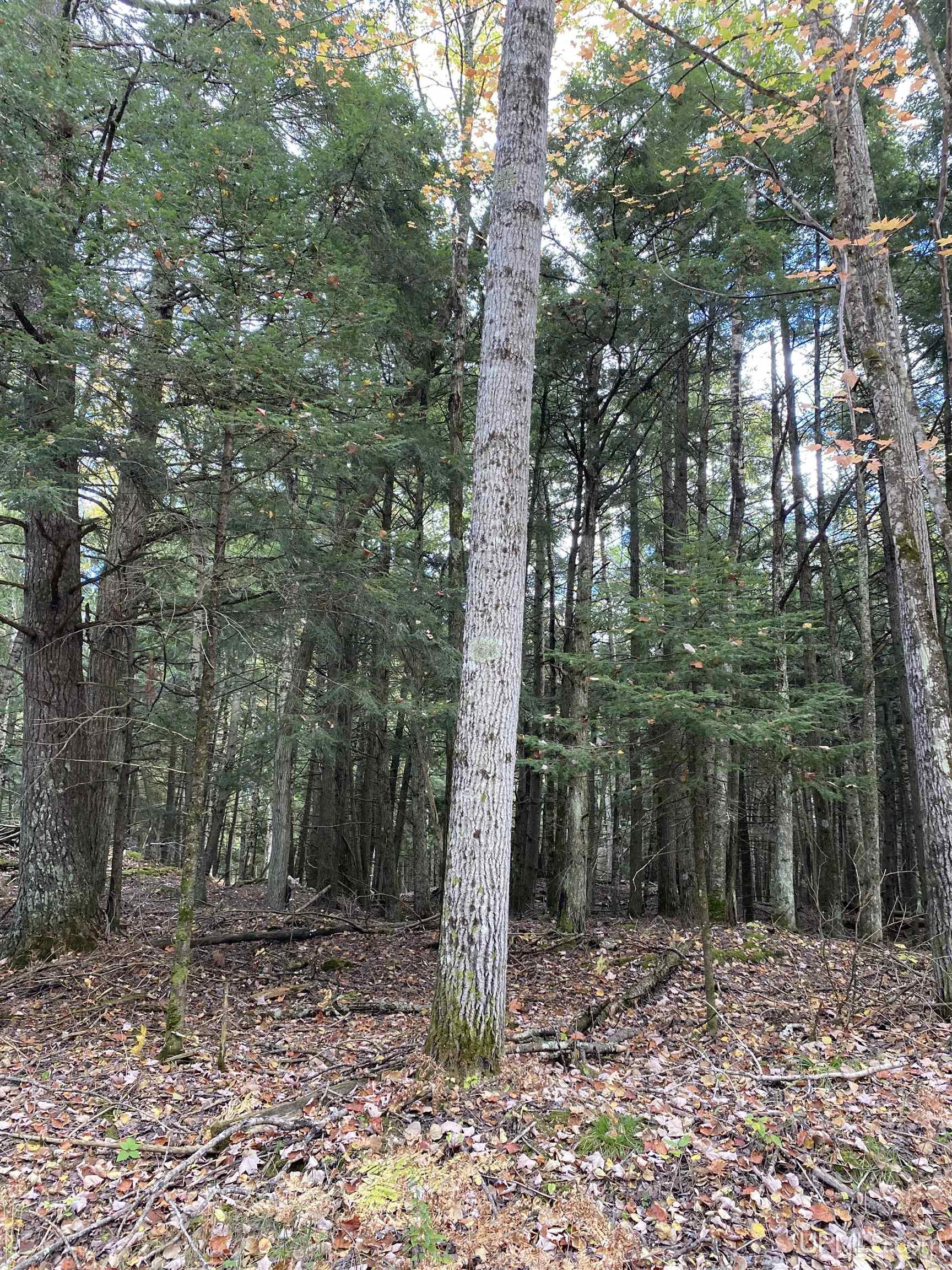 TBD East Stonington Aa.5 Road, Rapid River, MI, 49878