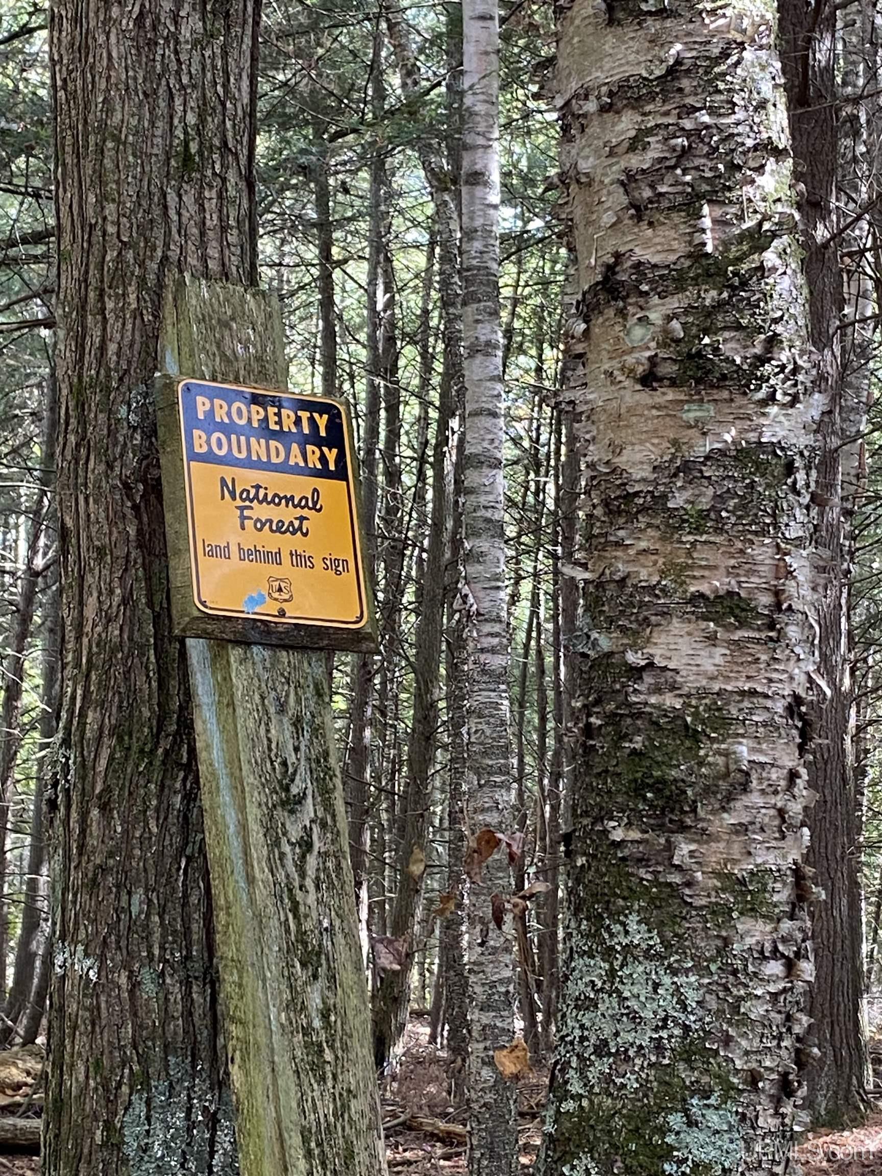 TBD East Stonington Aa.5 Road, Rapid River, MI, 49878