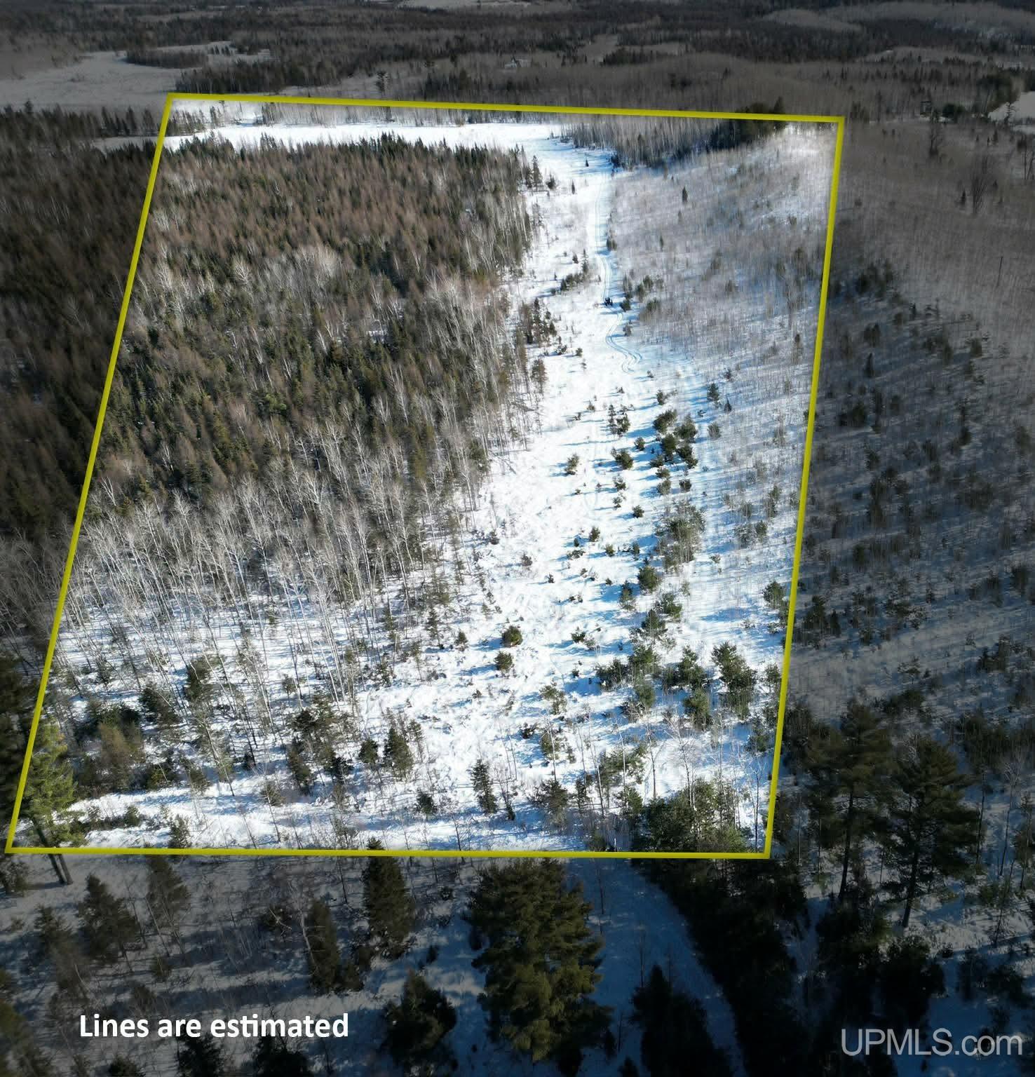 TBD Murray 20 Road, Perronville, MI, 49873