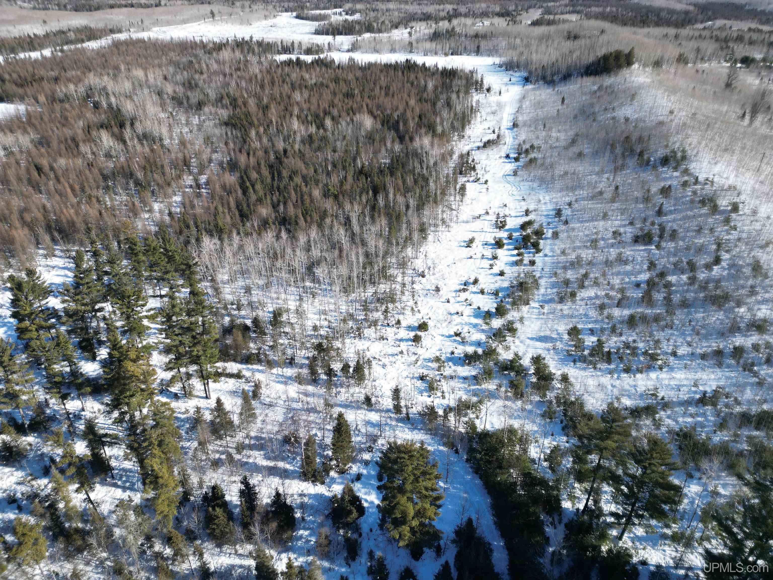 TBD Murray 20 Road, Perronville, MI, 49873