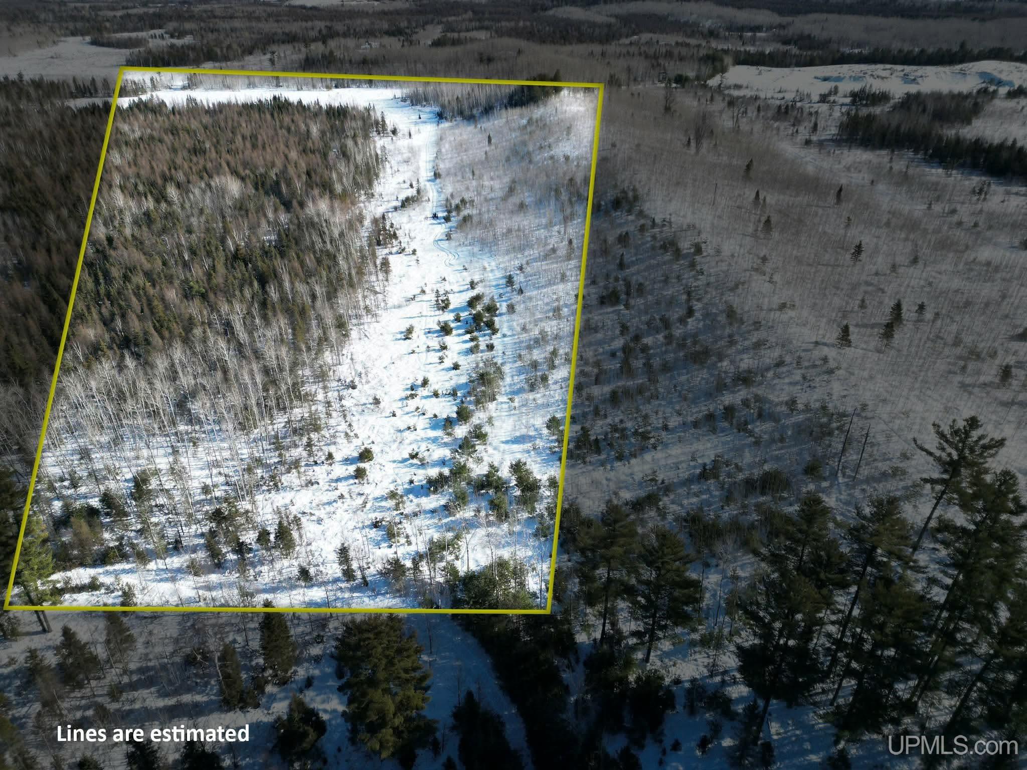 TBD Murray 20 Road, Perronville, MI, 49873