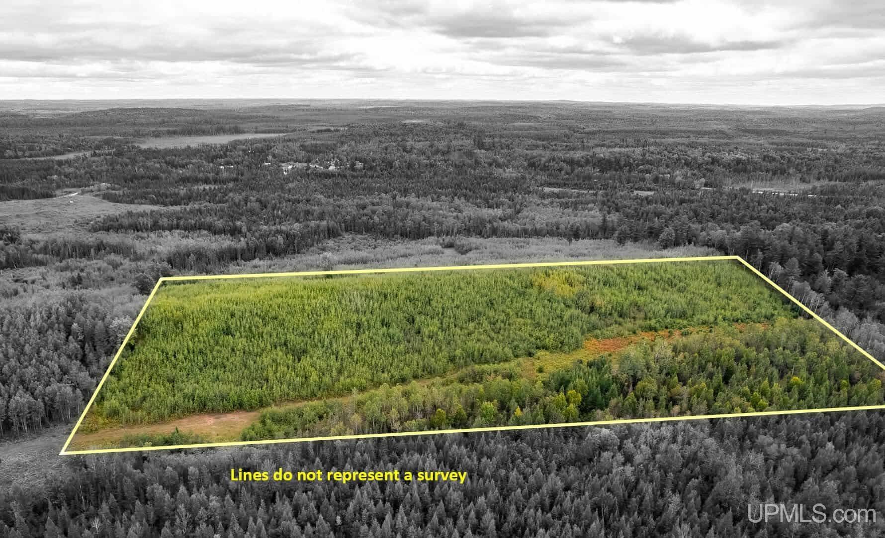 TBD Murray 20 Road, Perronville, MI, 49873