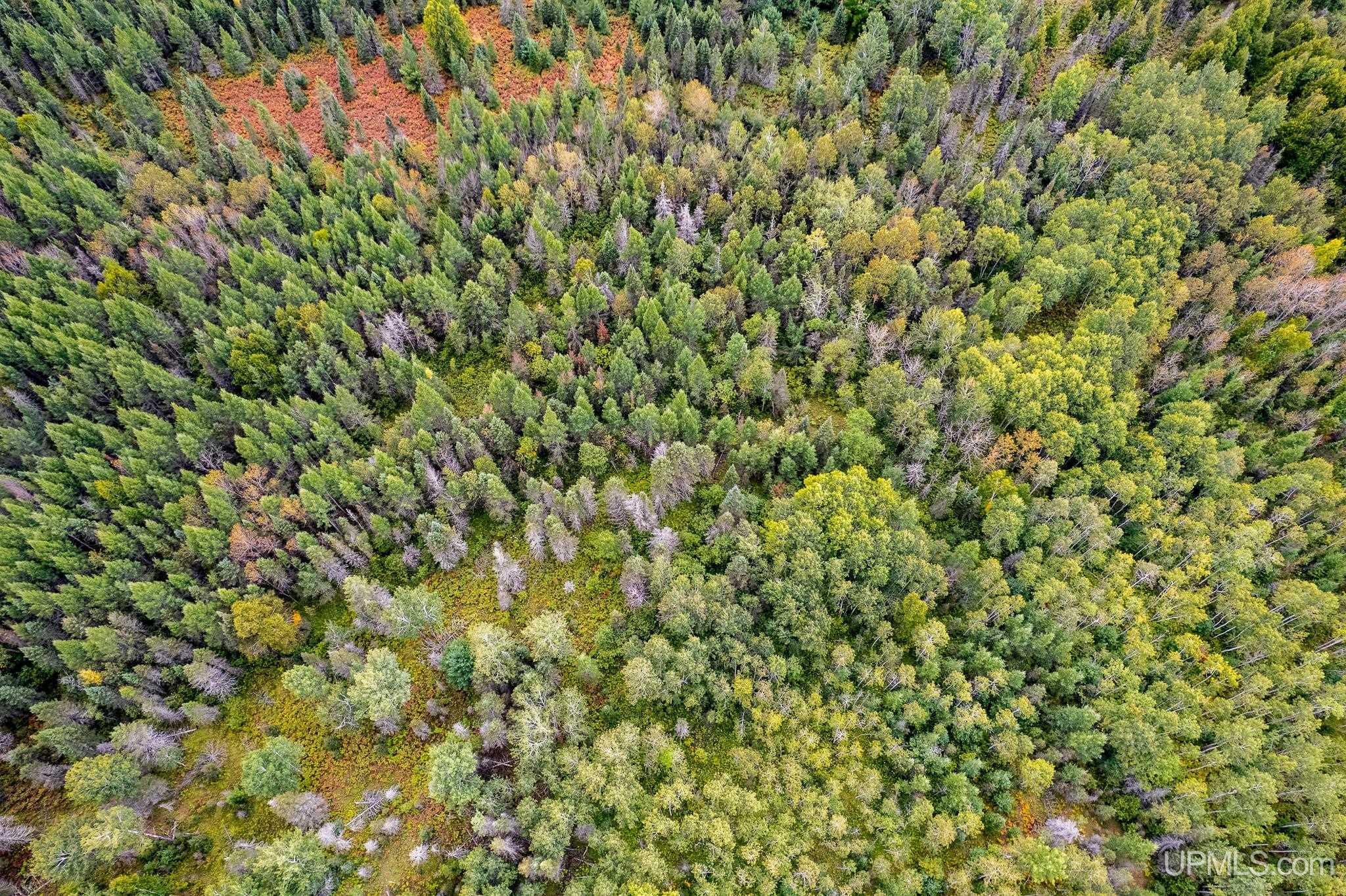 TBD Murray 20 Road, Perronville, MI, 49873