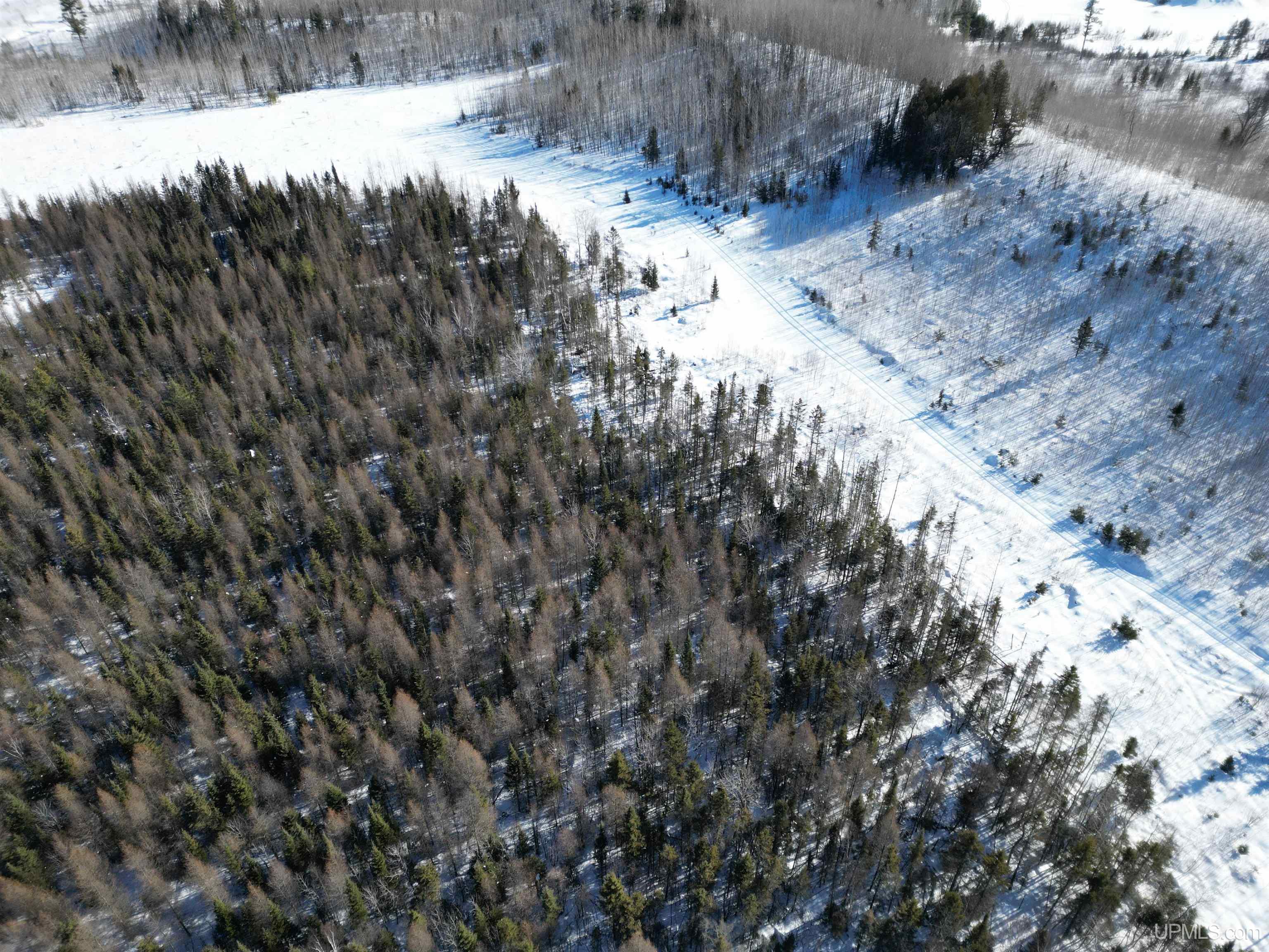 TBD Murray 20 Road, Perronville, MI, 49873