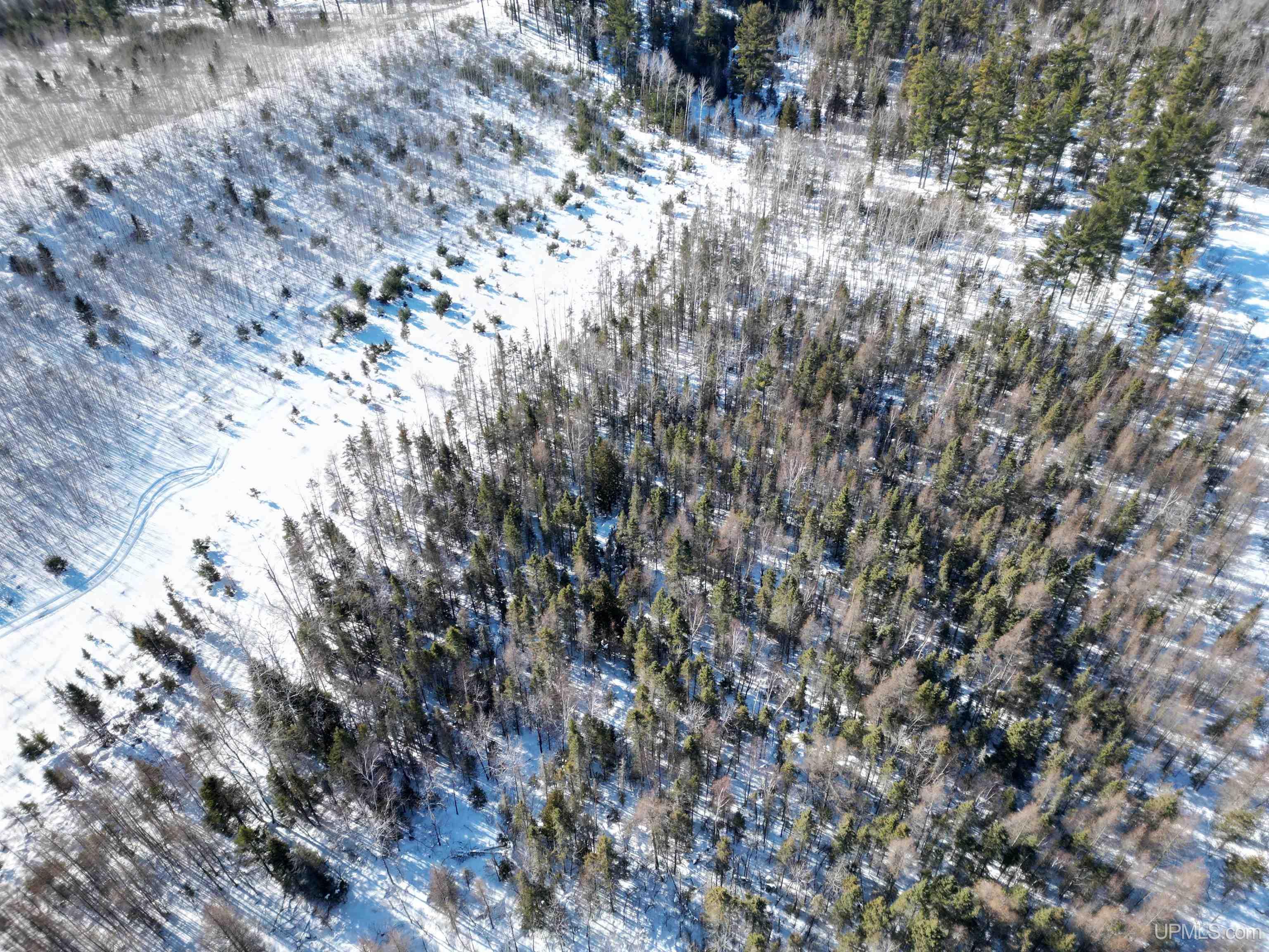 TBD Murray 20 Road, Perronville, MI, 49873