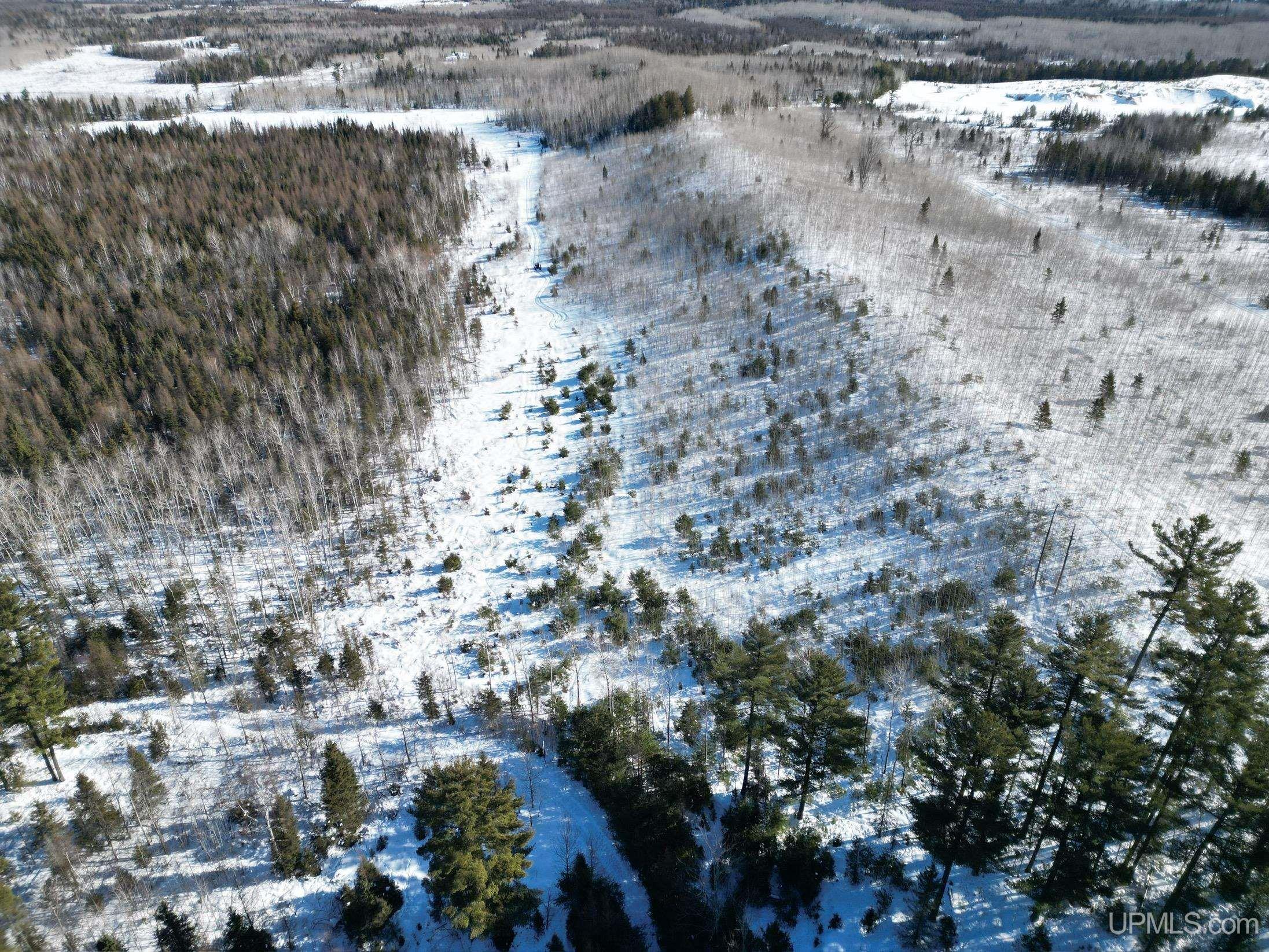 TBD Murray 20 Road, Perronville, MI, 49873