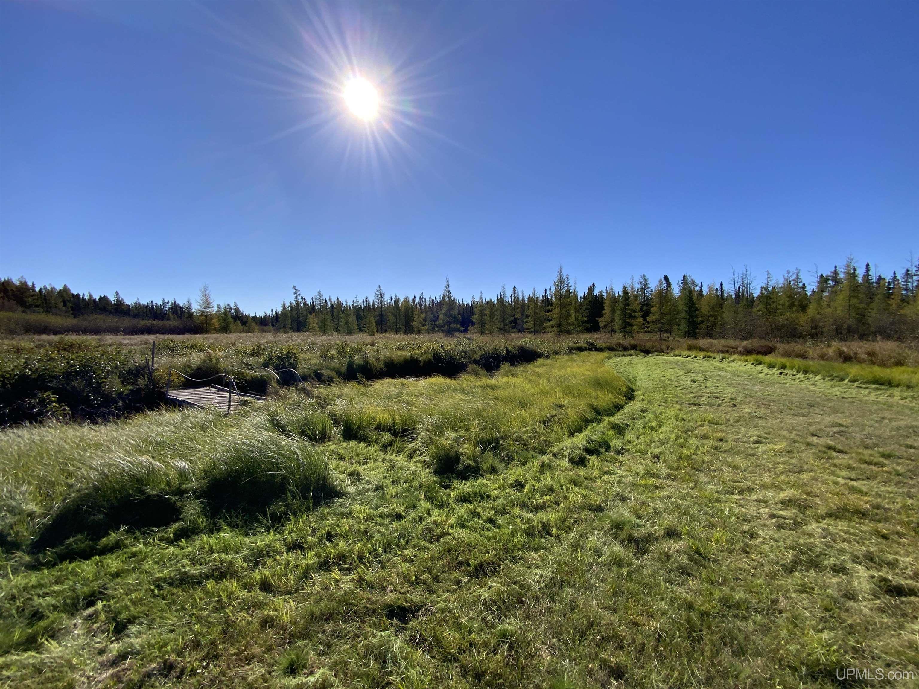 MLS 50192664 Large photo number 28 