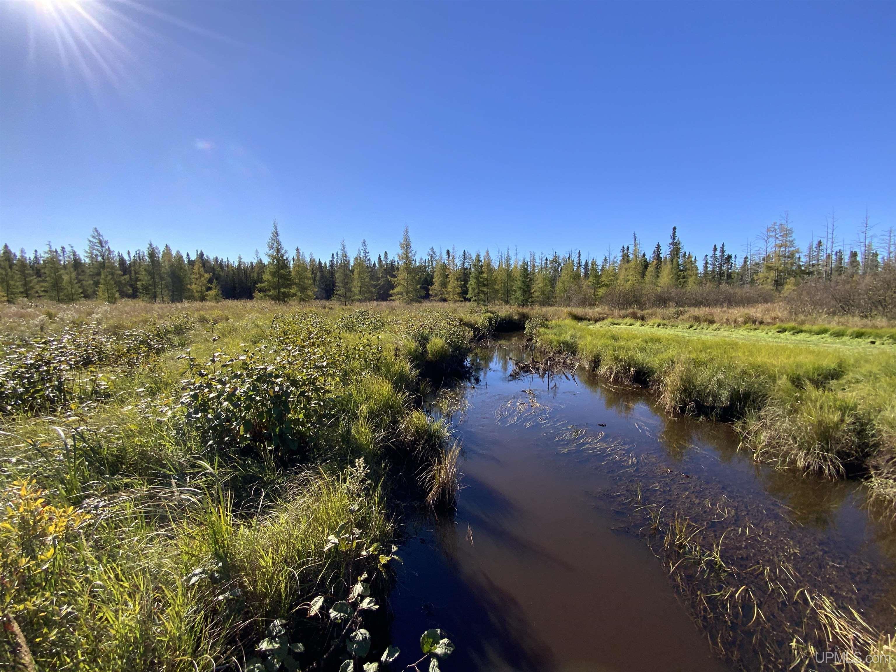 MLS 50192664 Large photo number 32 