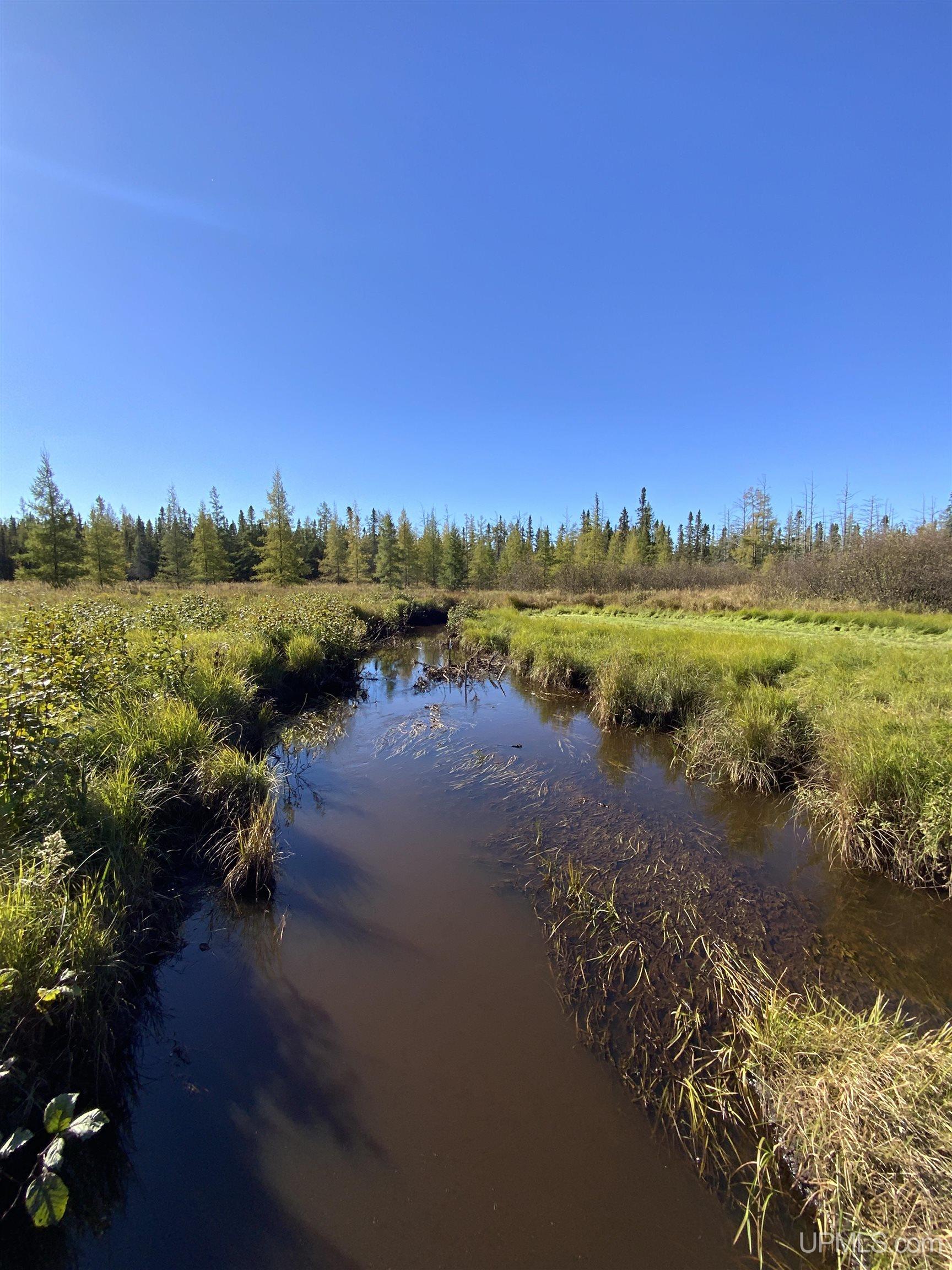 MLS 50192664 Large photo number 34 
