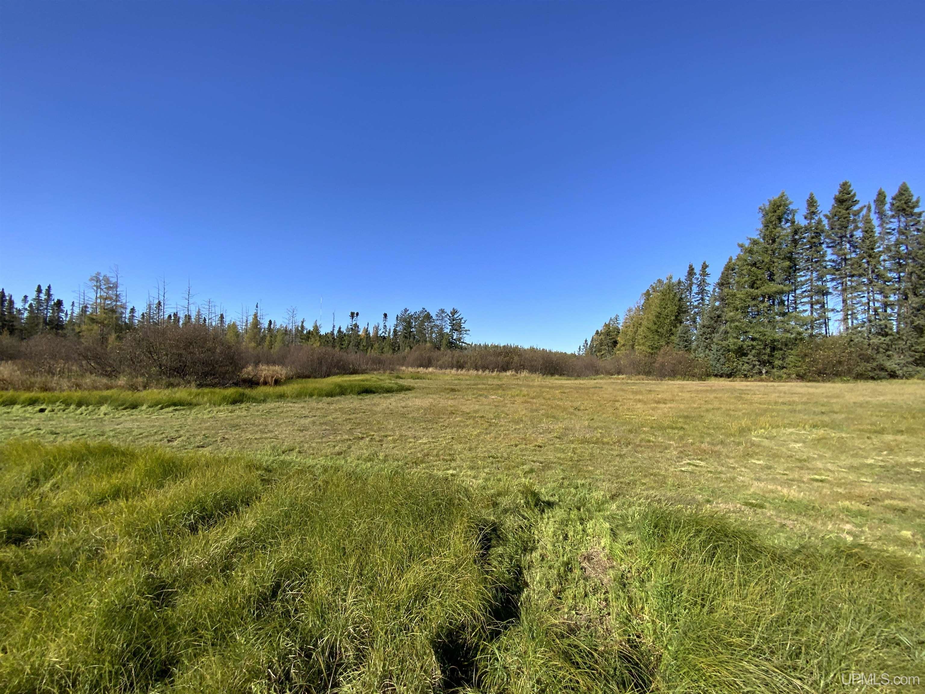 MLS 50192664 Large photo number 35 