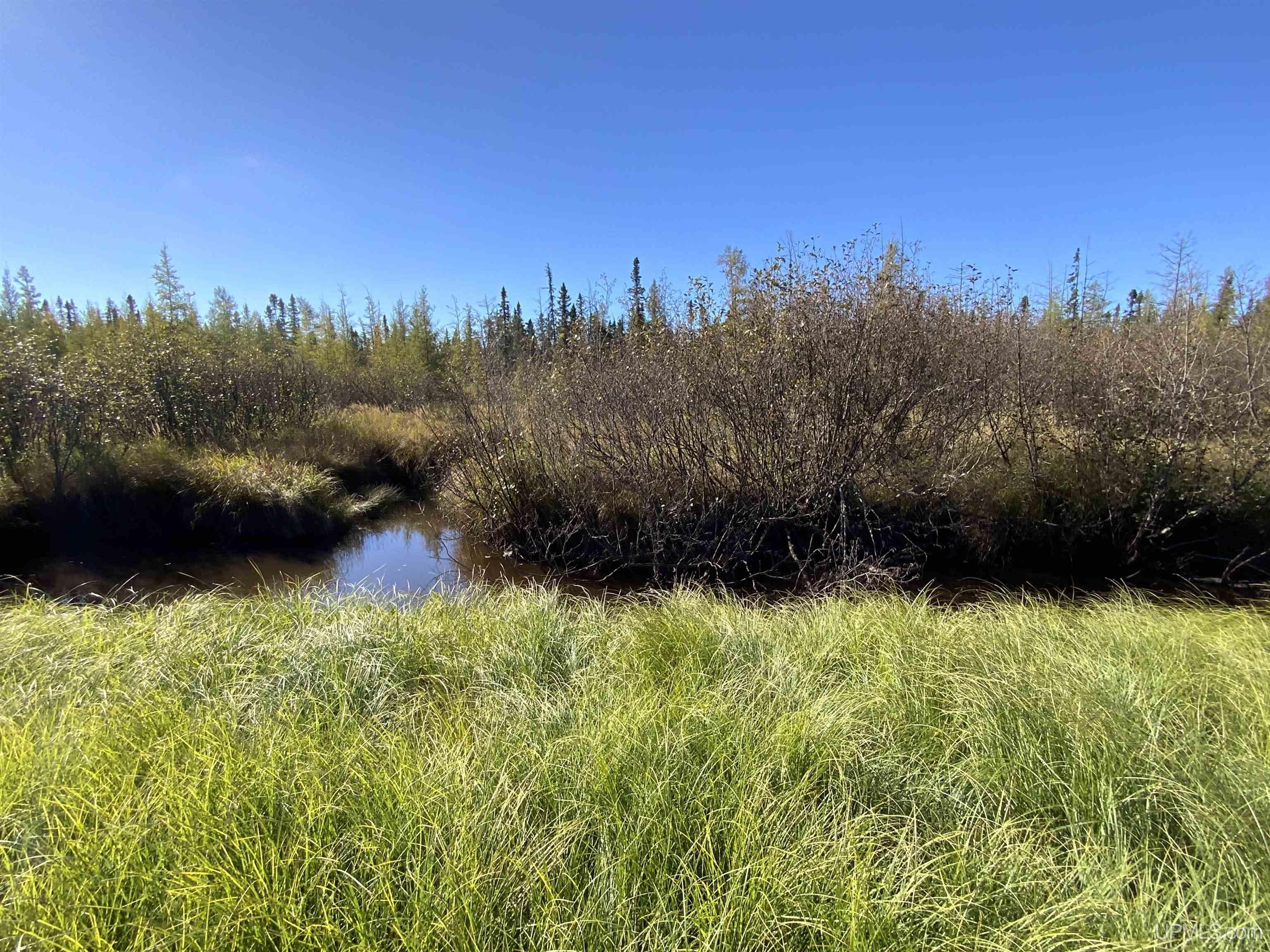 MLS 50192664 Large photo number 43 