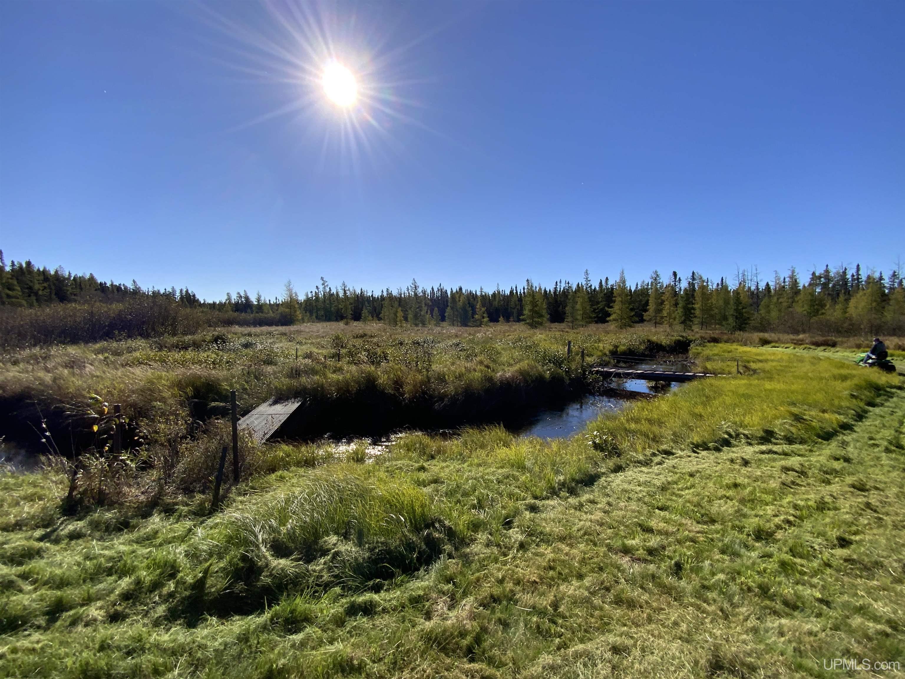 MLS 50192664 Large photo number 45 