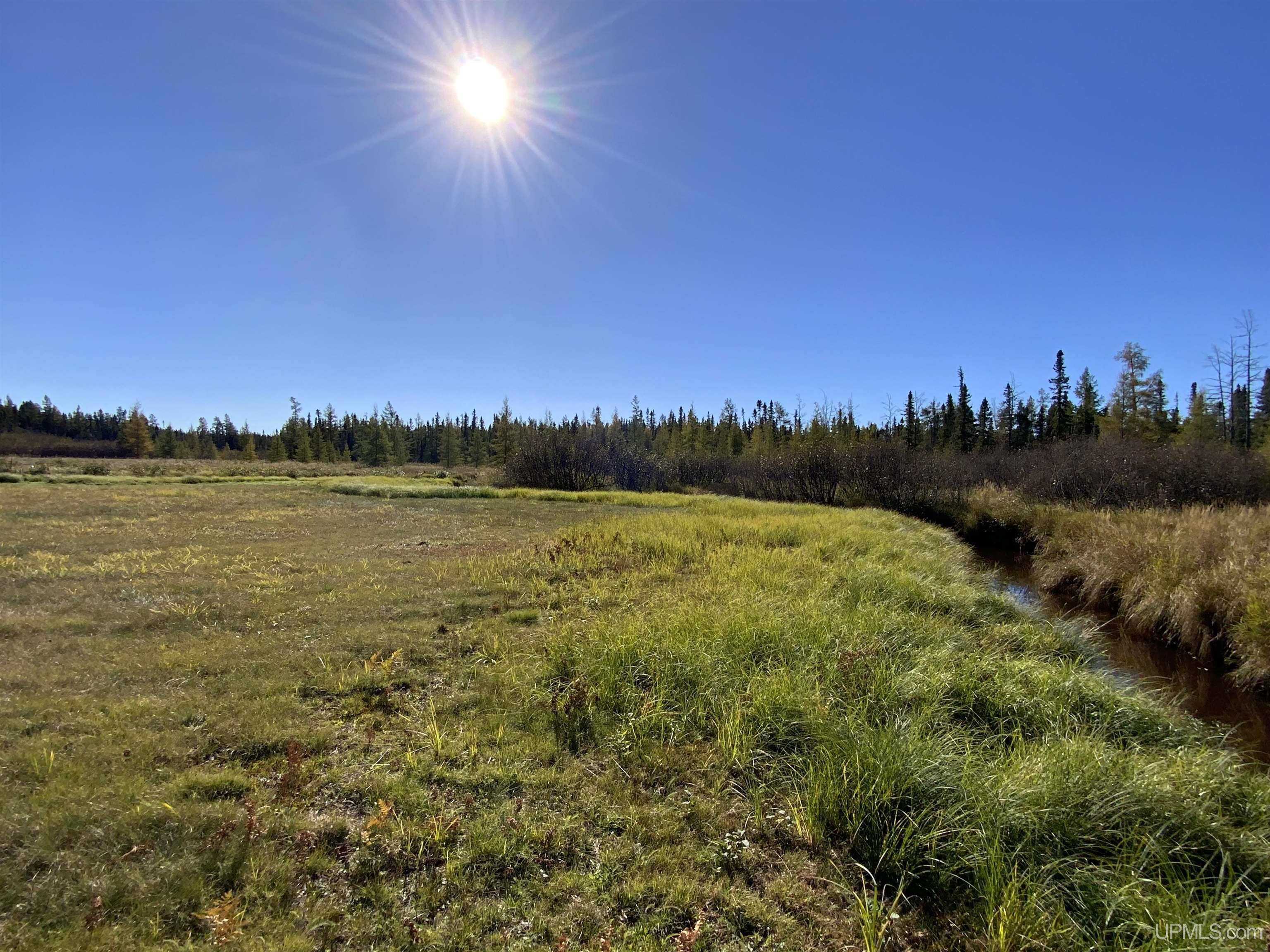 MLS 50192664 Large photo number 47 