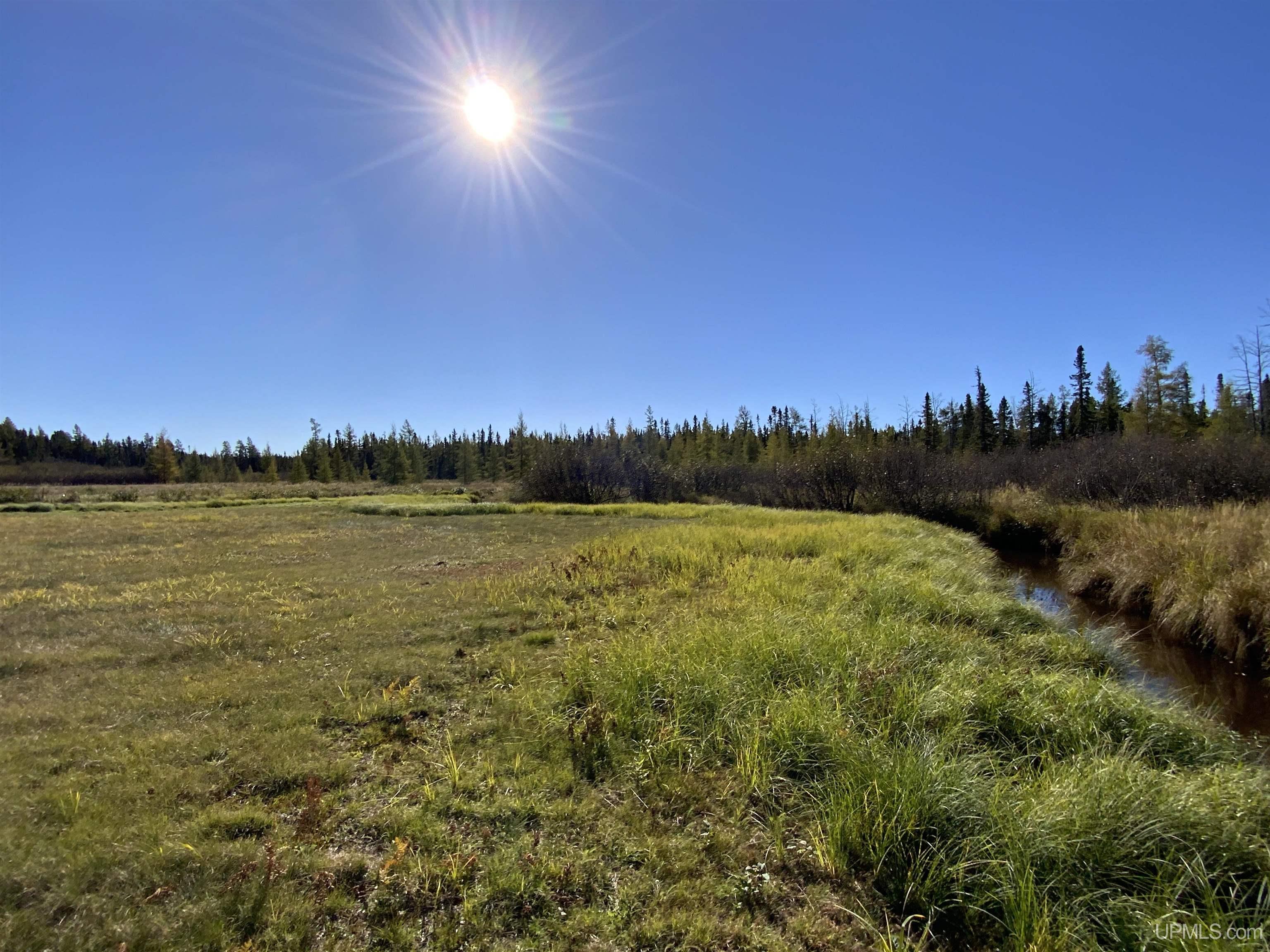 MLS 50192664 Large photo number 48 