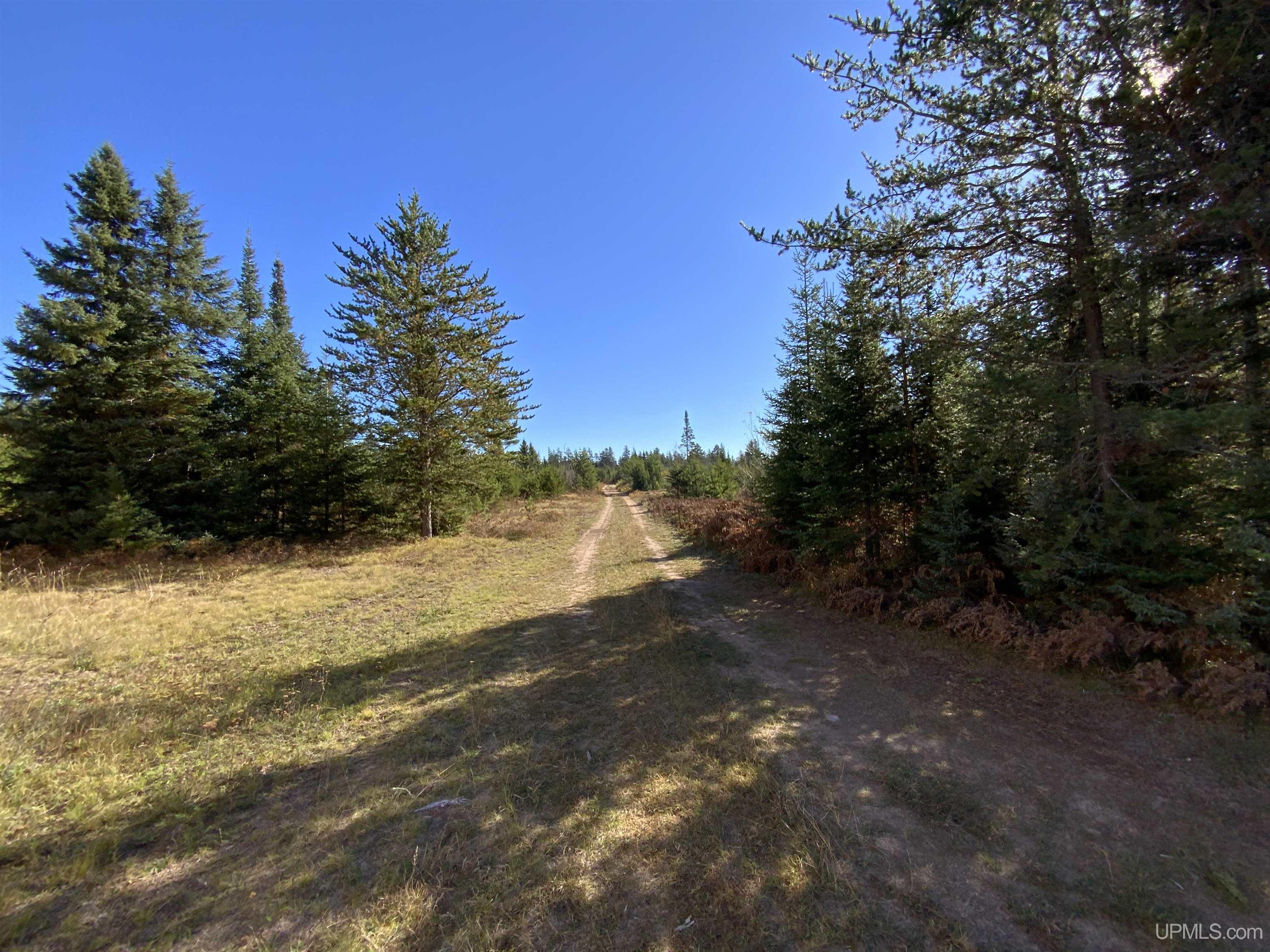 MLS 50192664 Large photo number 51 