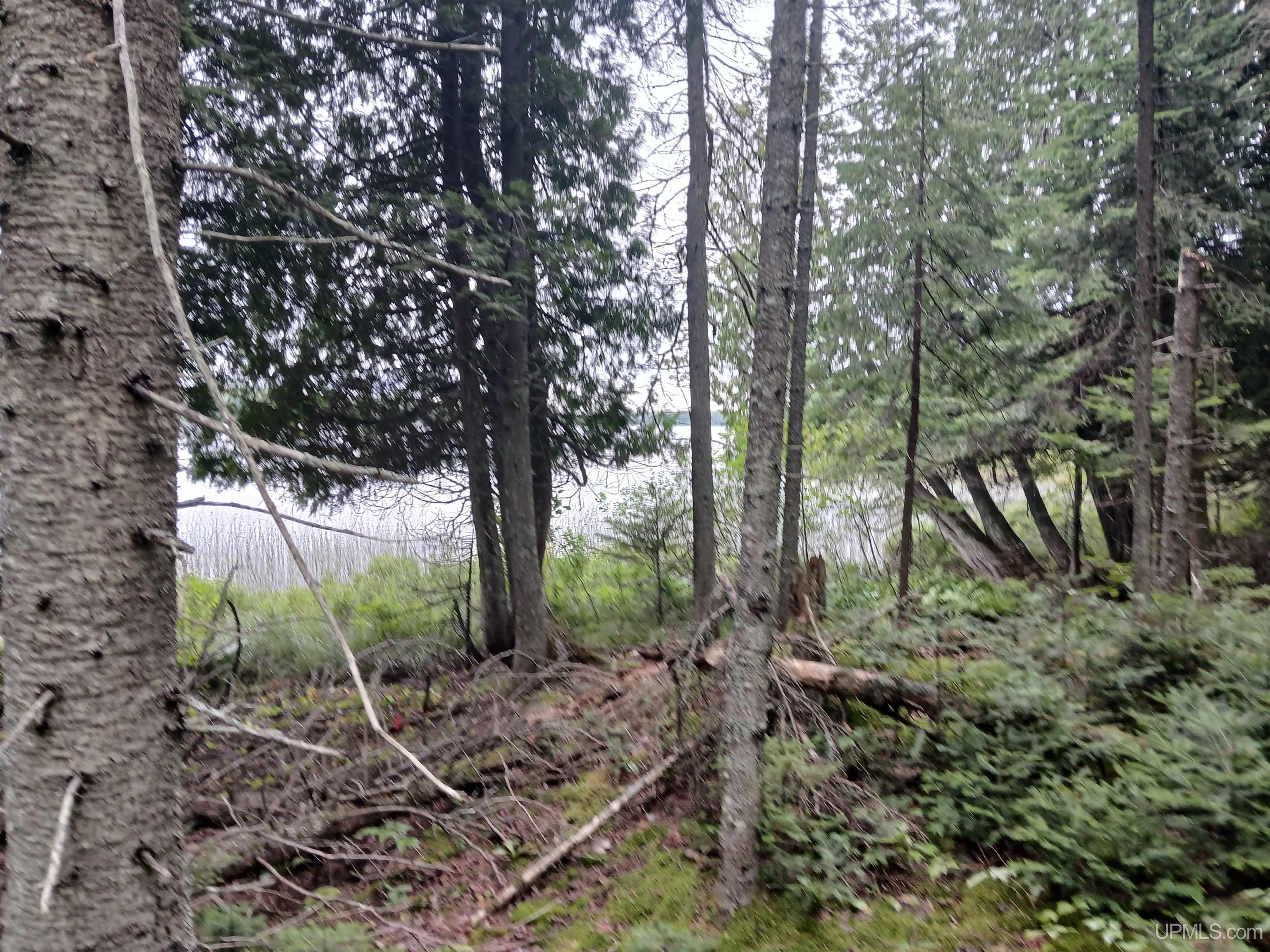 MLS 50193041 Large photo number 32 