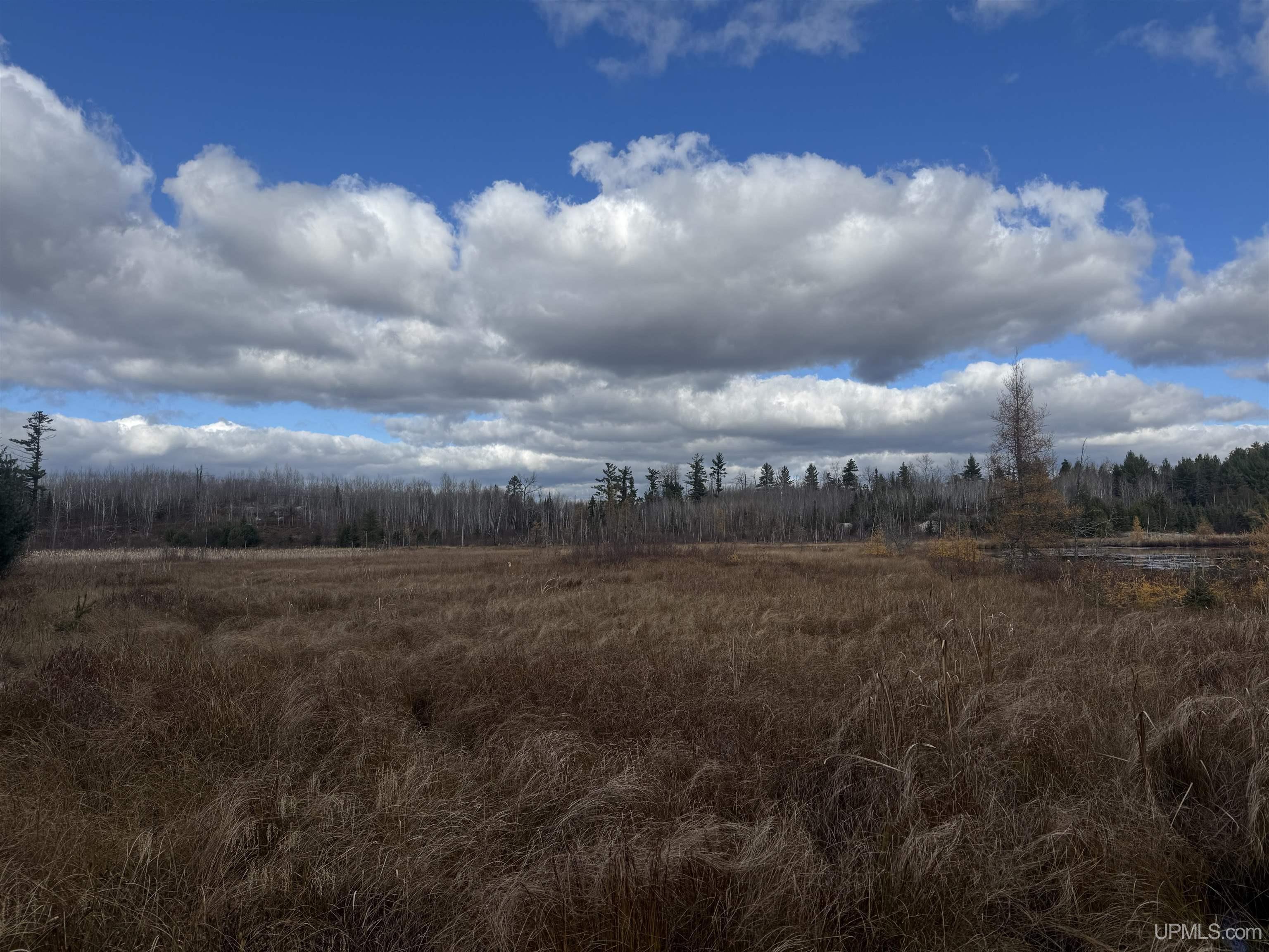 MLS 50193145 Large photo number 55 