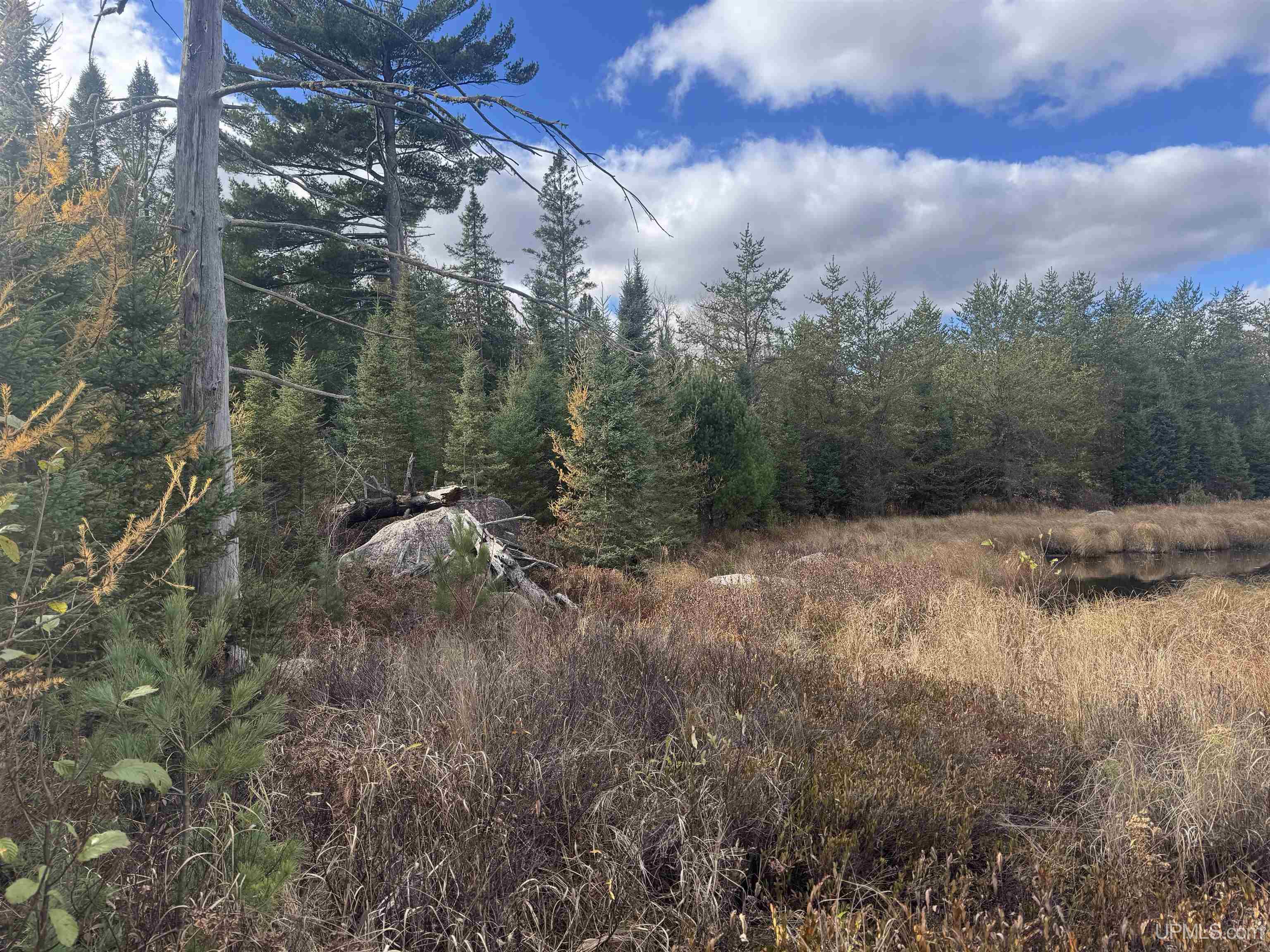 MLS 50193145 Large photo number 56 