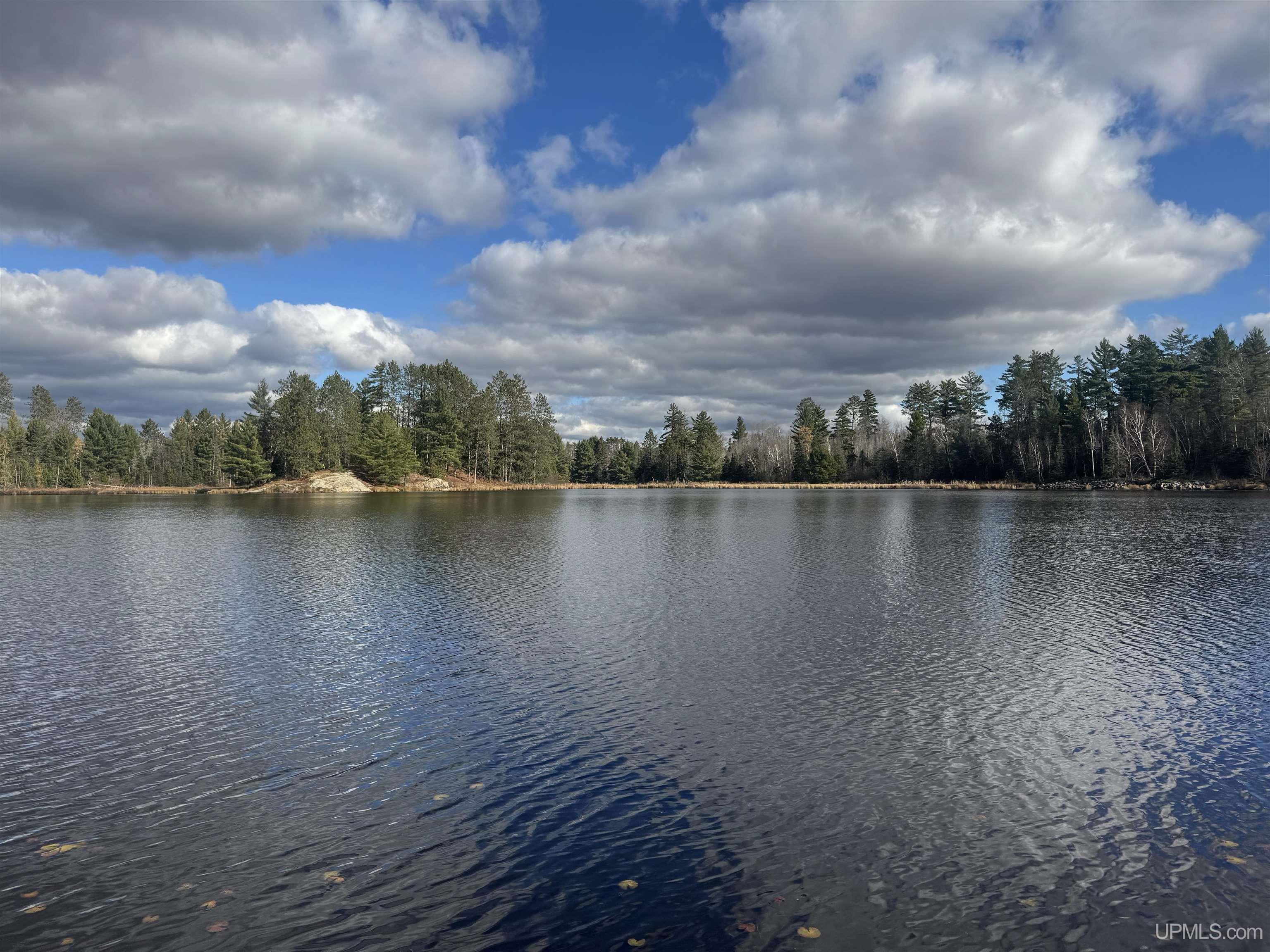MLS 50193145 Large photo number 58 