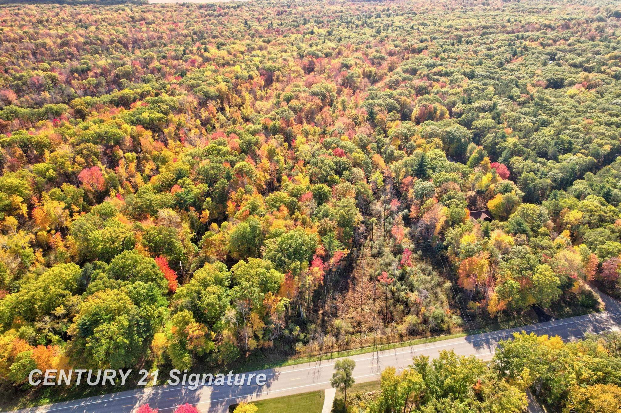 V/L Port Austin Road, Lake, MI, 48725