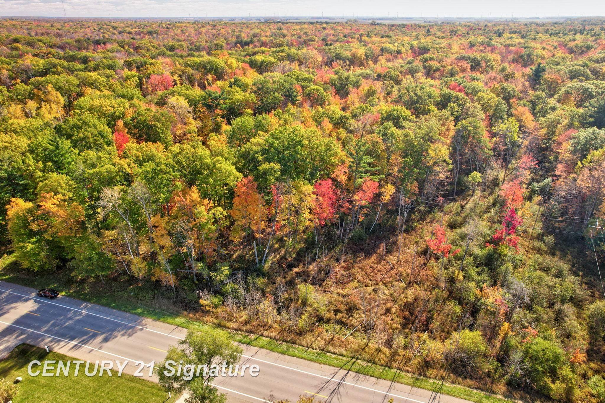 V/L Port Austin Road, Lake, MI, 48725