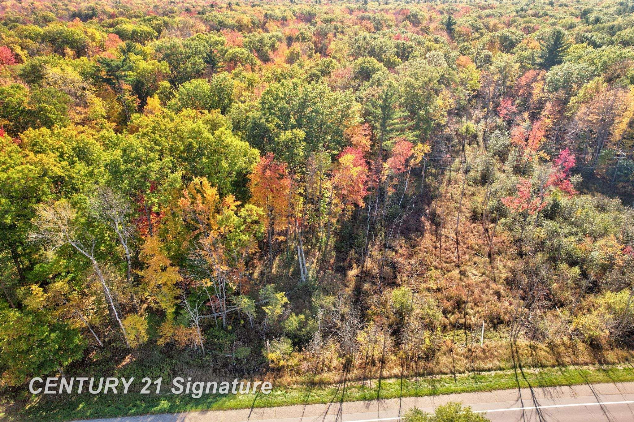 V/L Port Austin Road, Lake, MI, 48725