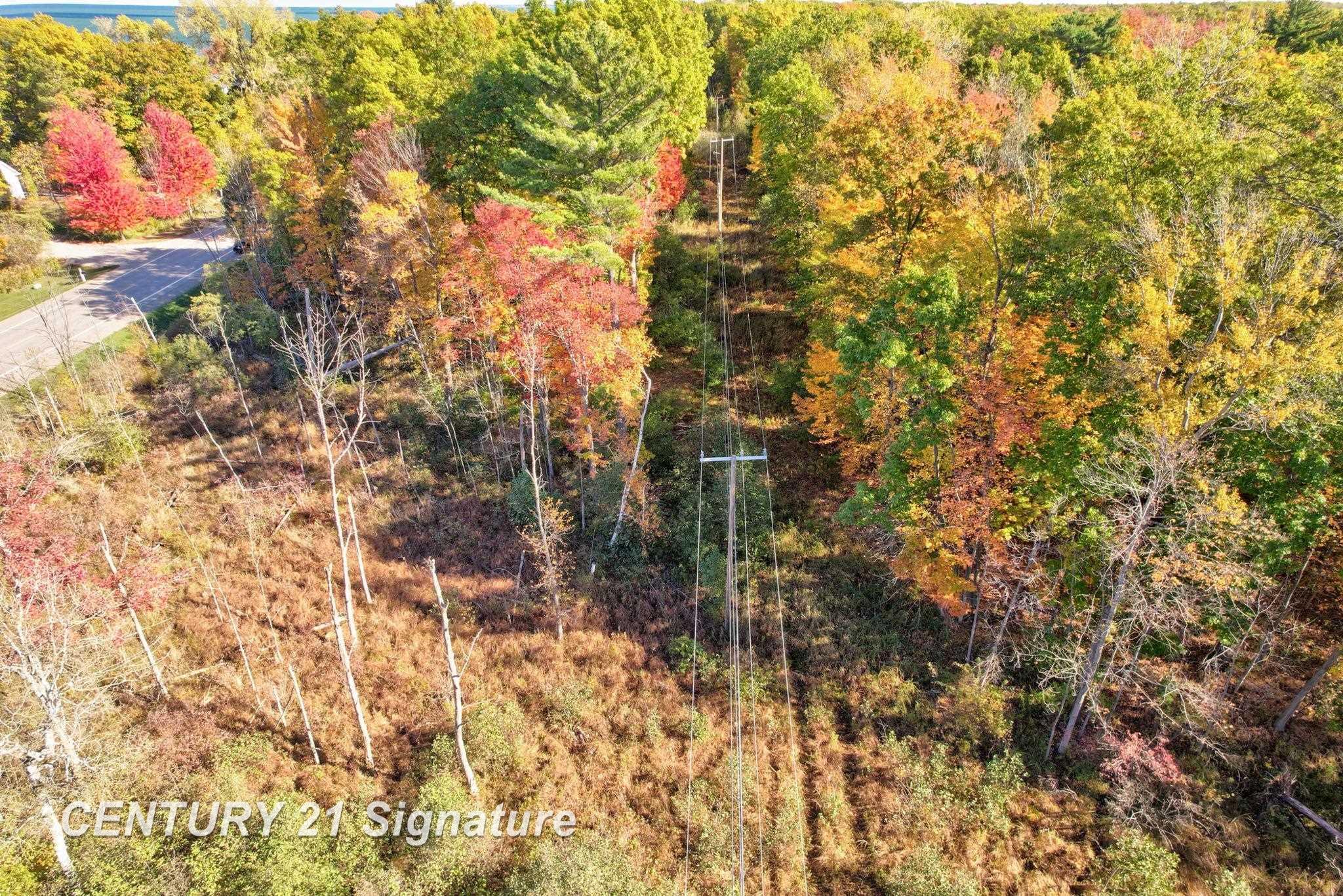 V/L Port Austin Road, Lake, MI, 48725