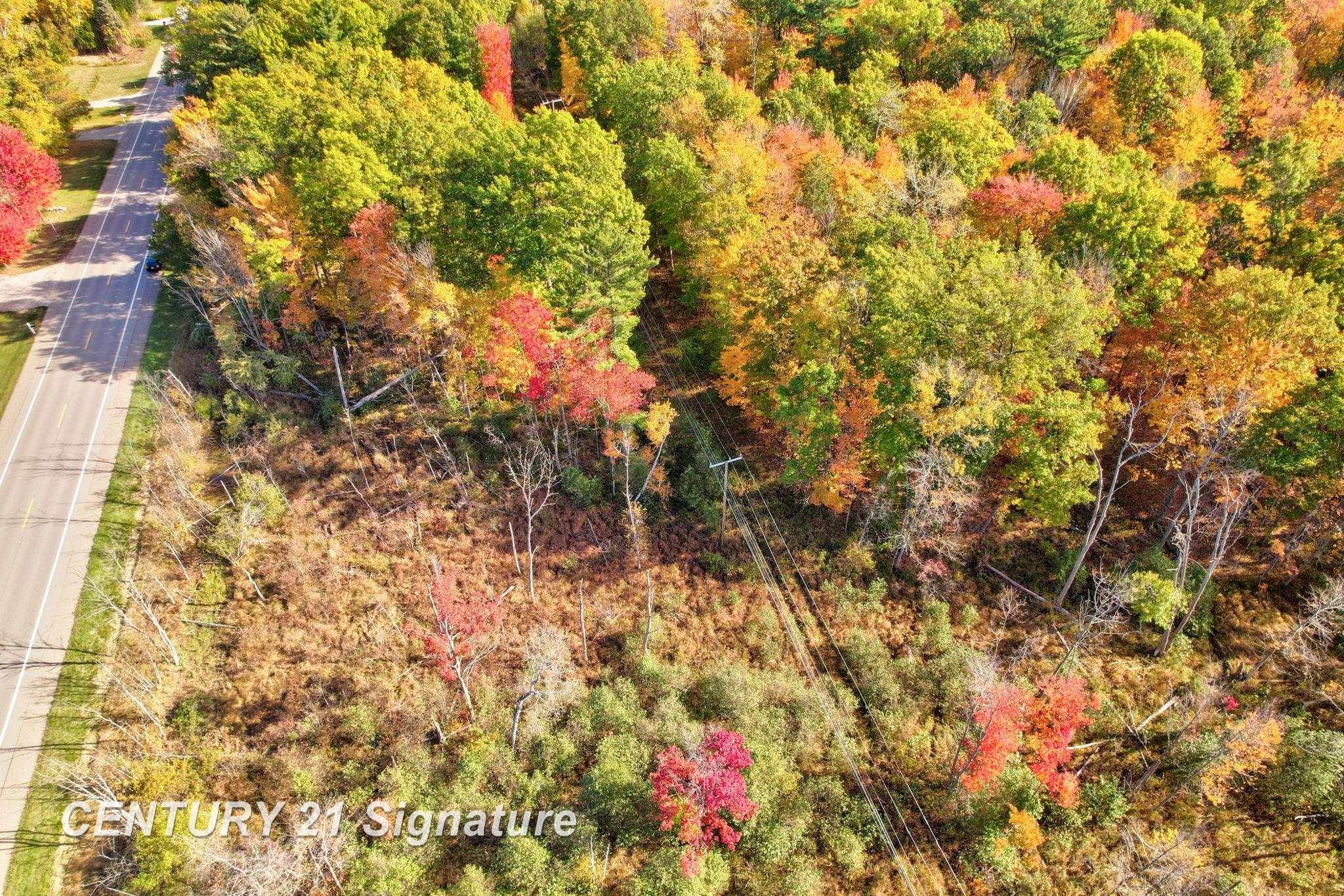 V/L Port Austin Road, Lake, MI, 48725