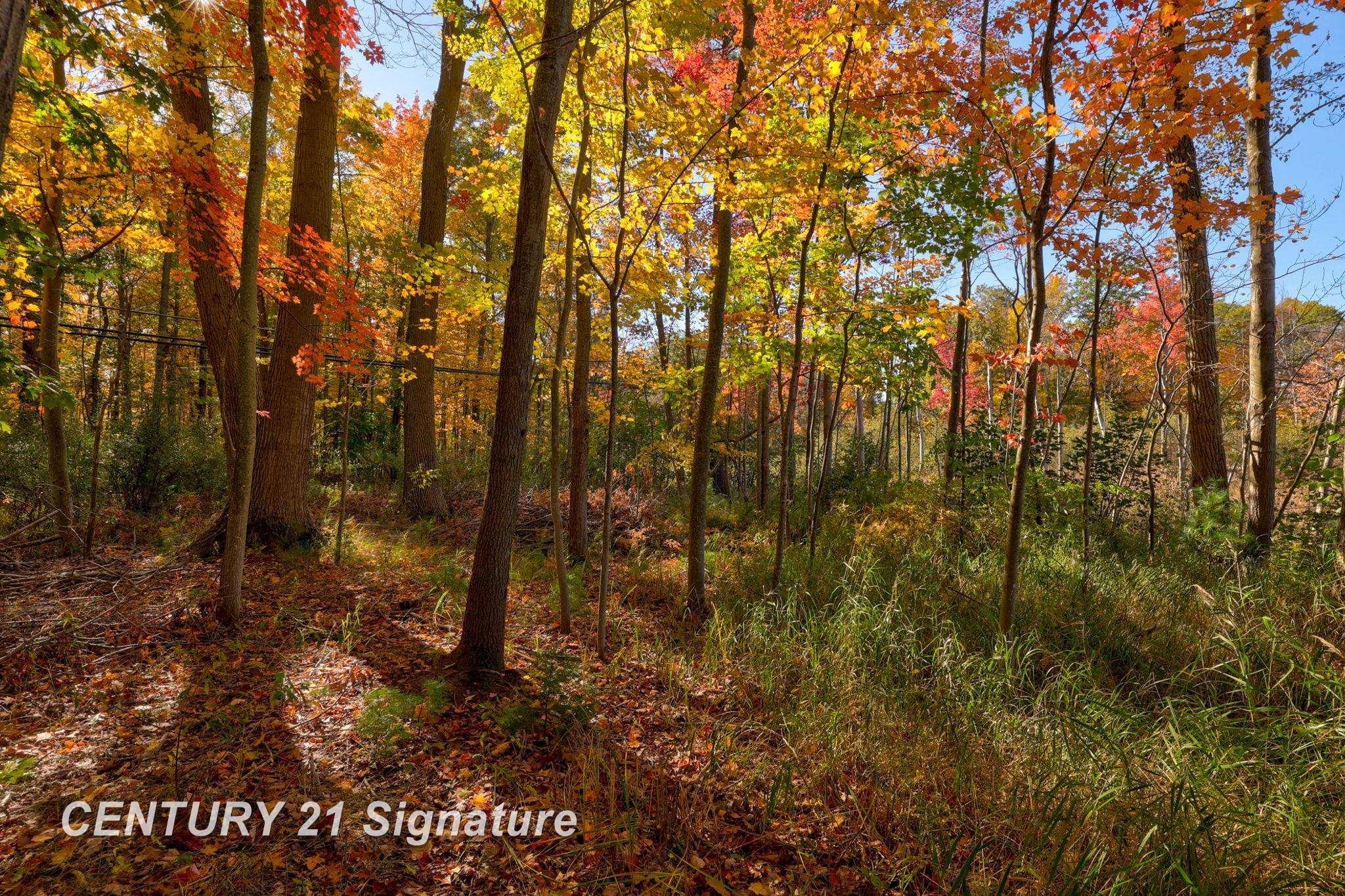 V/L Port Austin Road, Lake, MI, 48725