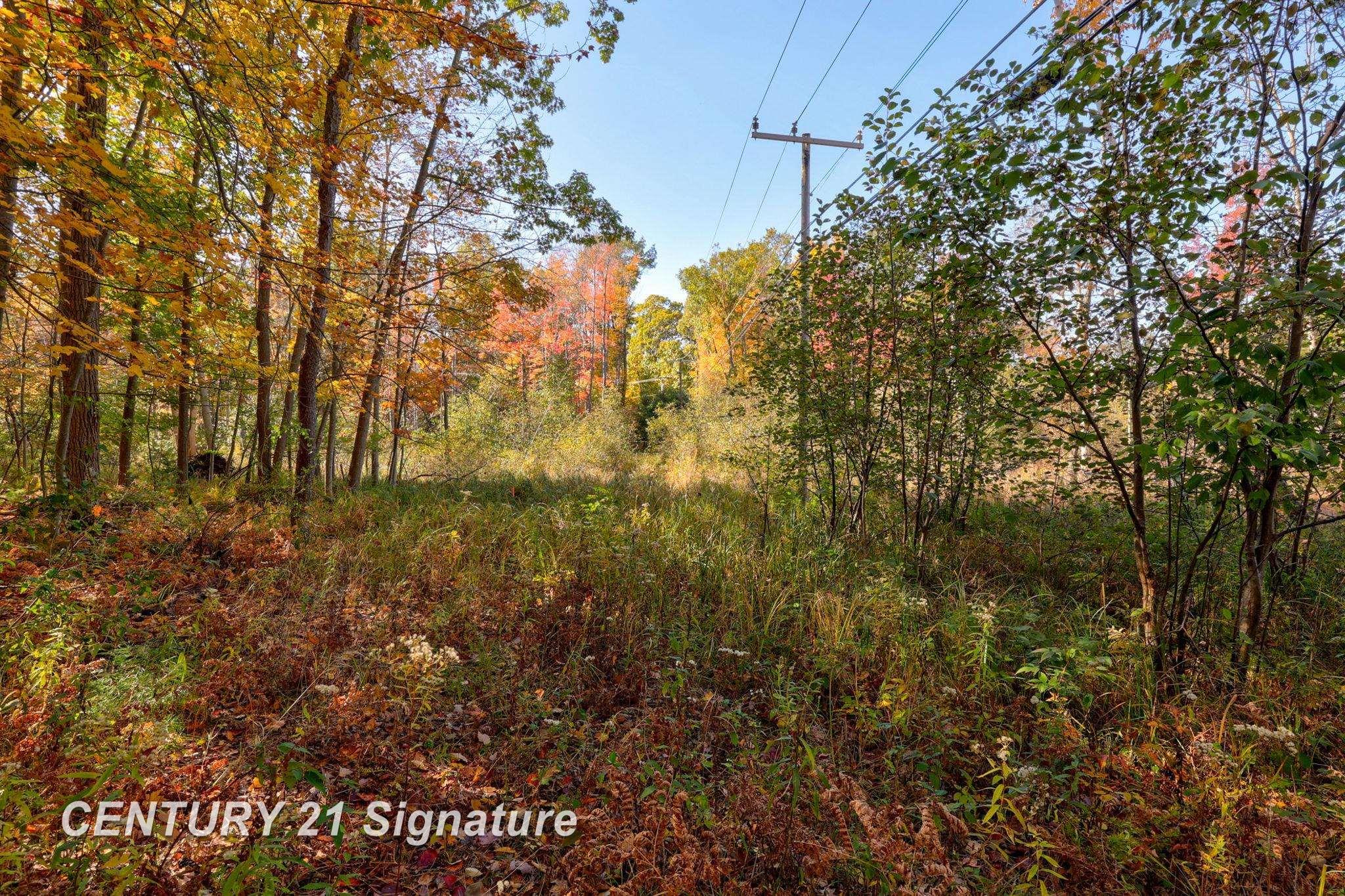 V/L Port Austin Road, Lake, MI, 48725