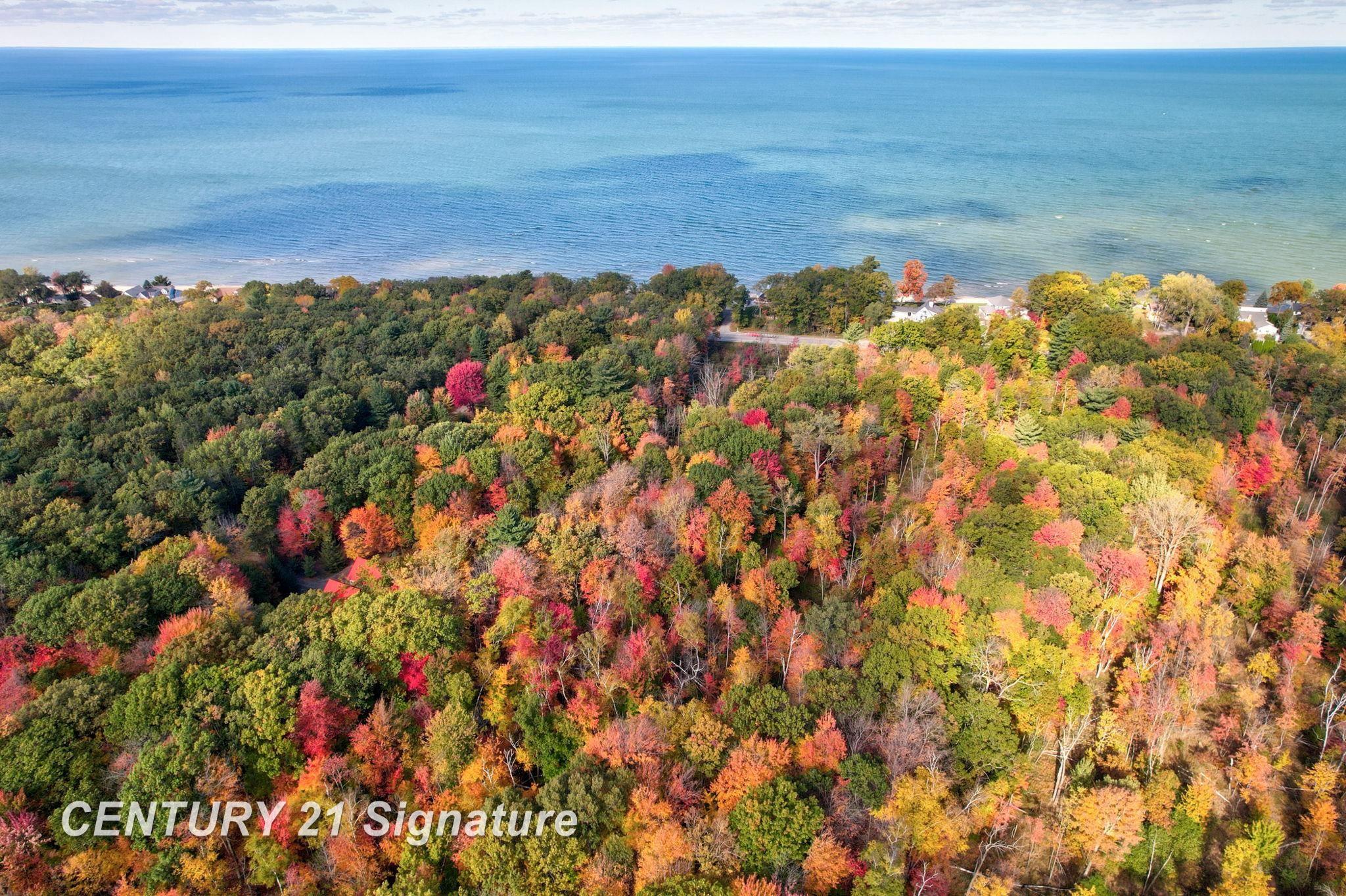 V/L Port Austin Road, Lake, MI, 48725