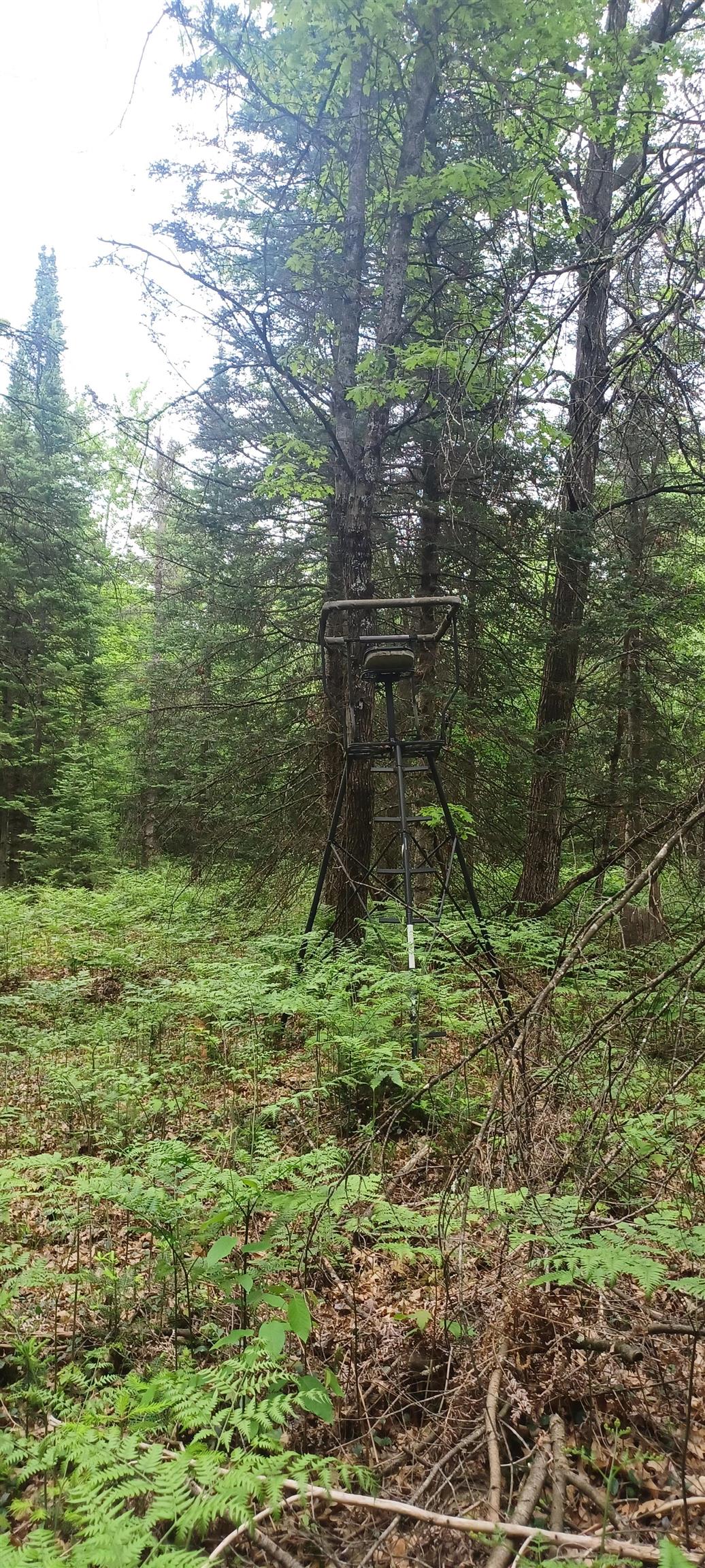 1474 N Old State Avenue, Harrison, MI, 48625-7444