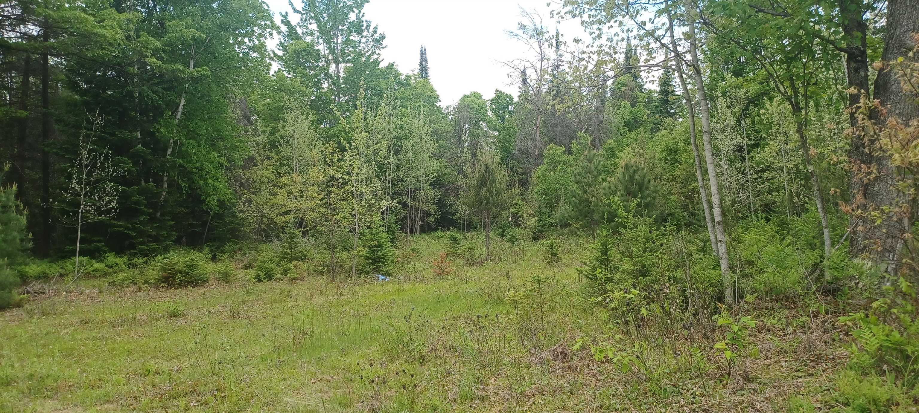 1474 N Old State Avenue, Harrison, MI, 48625-7444