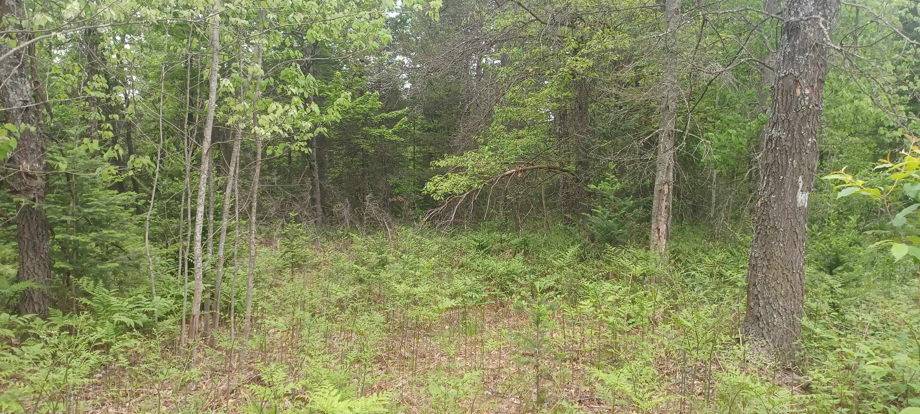 1474 N Old State Avenue, Harrison, MI, 48625-7444