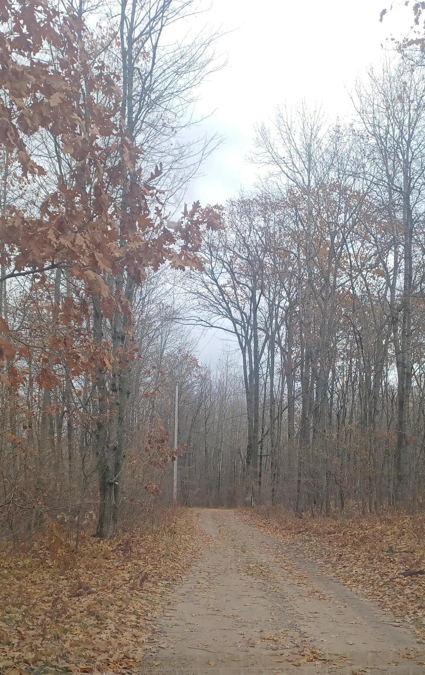 1474 N Old State Avenue, Harrison, MI, 48625-7444