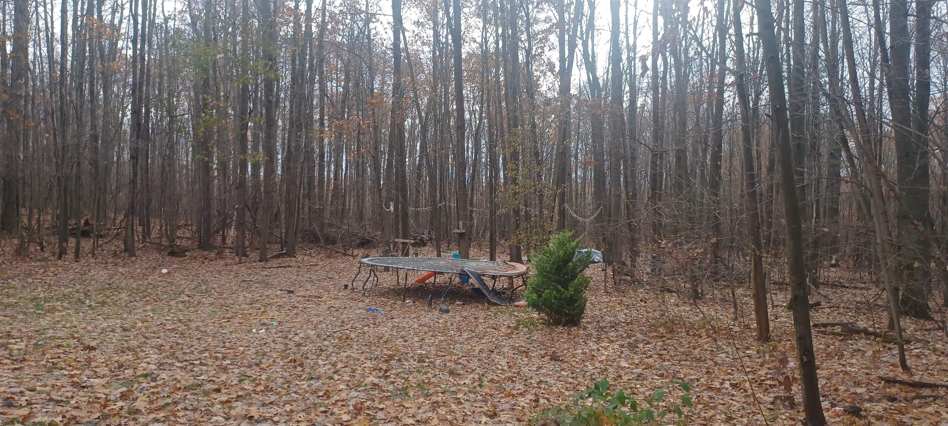 1474 N Old State Avenue, Harrison, MI, 48625-7444