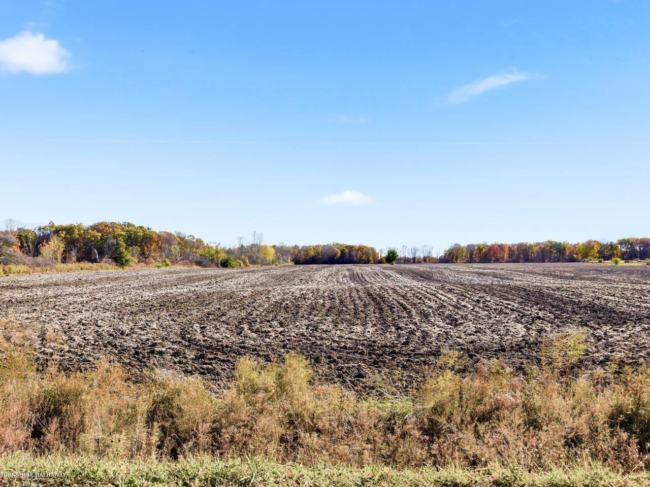 Photo 1 of Land for sale at Mcintyre Rd, North Street, MI 48049 | MLS# 50193698 | Listing updated on 2026-10-06