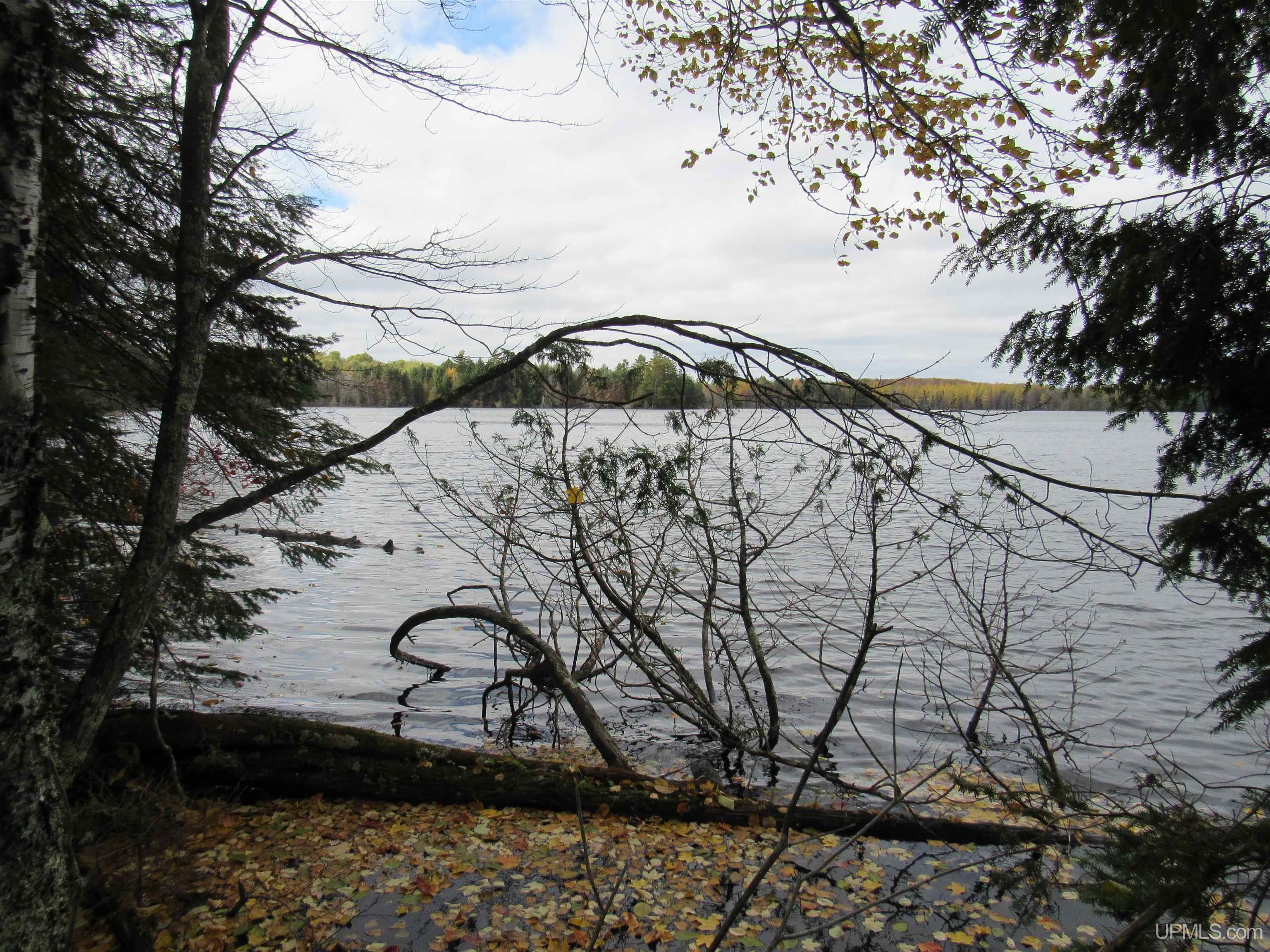 MLS 50194232 Large photo number 2 