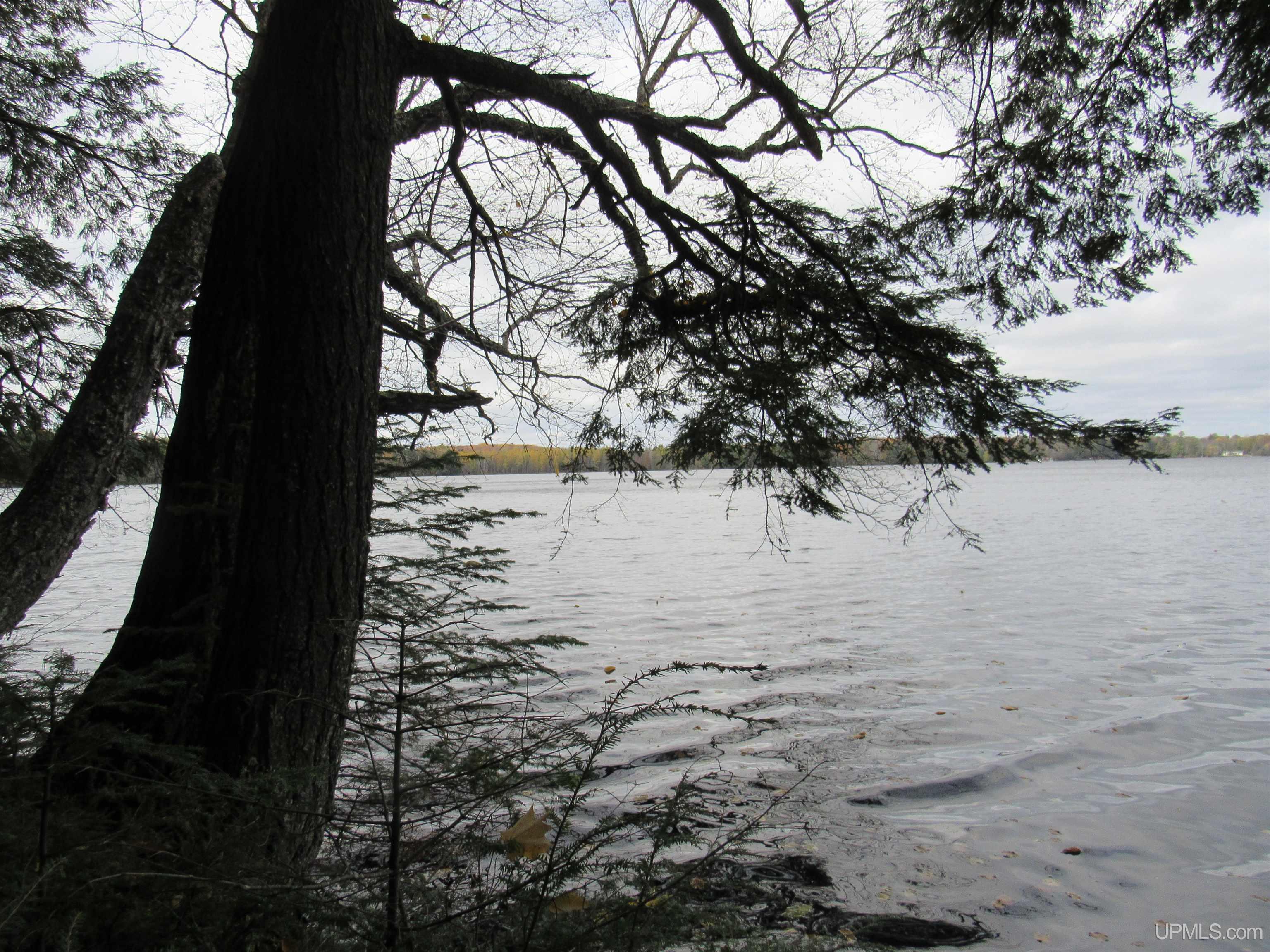 MLS 50194232 Large photo number 27 