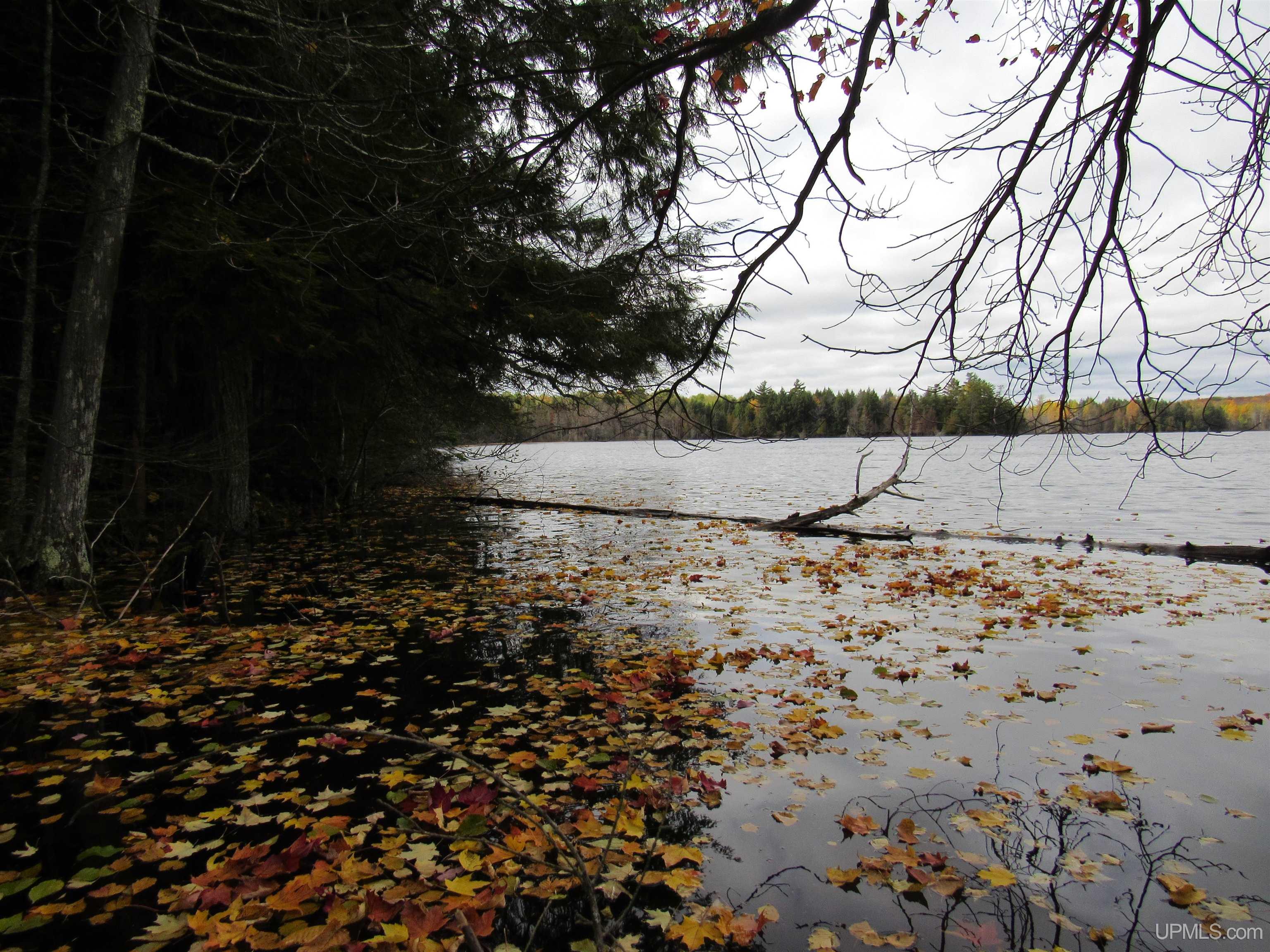 MLS 50194232 Large photo number 5 