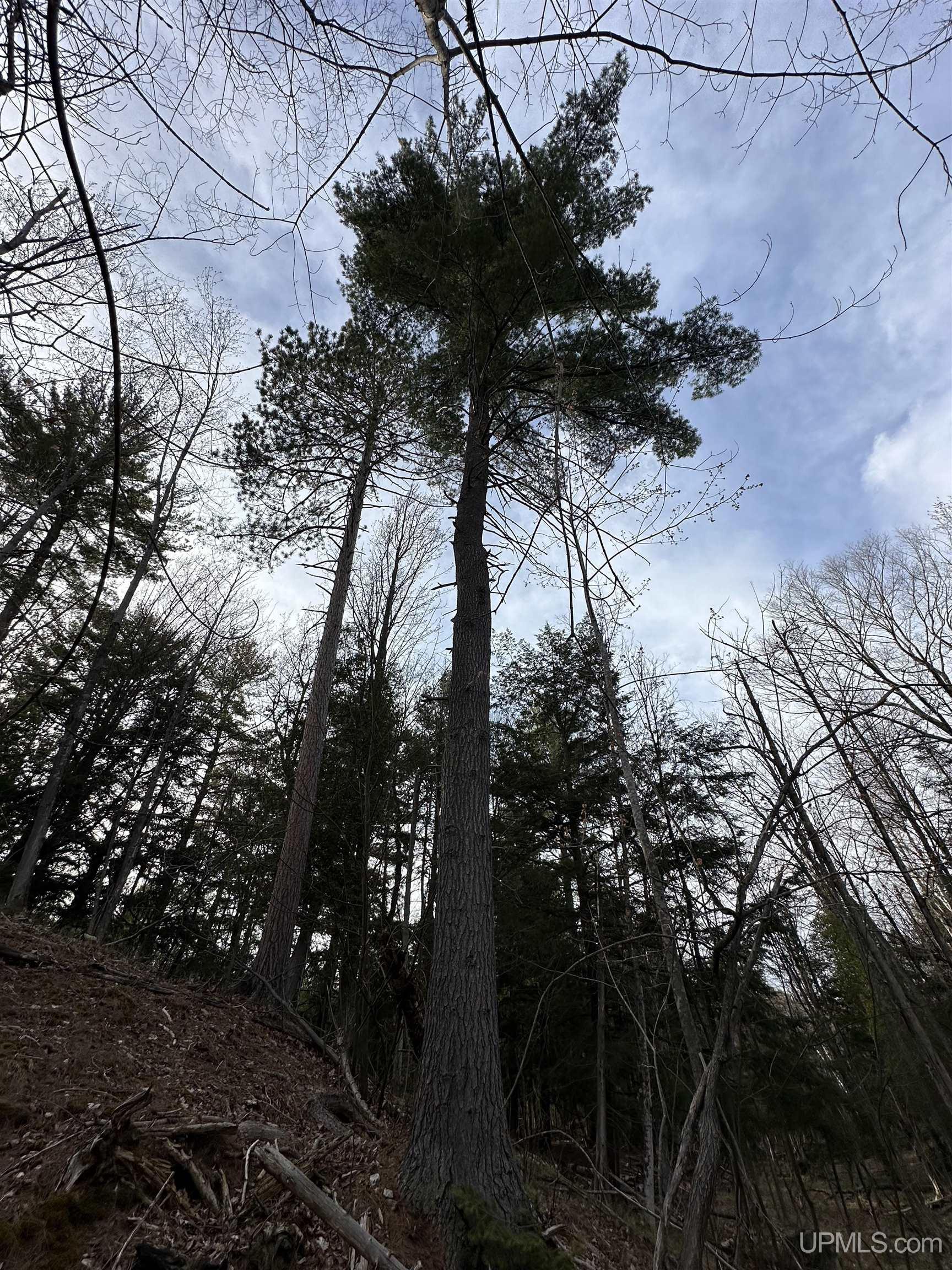 2070 S Us41 Highway, Marquette, MI, 49855