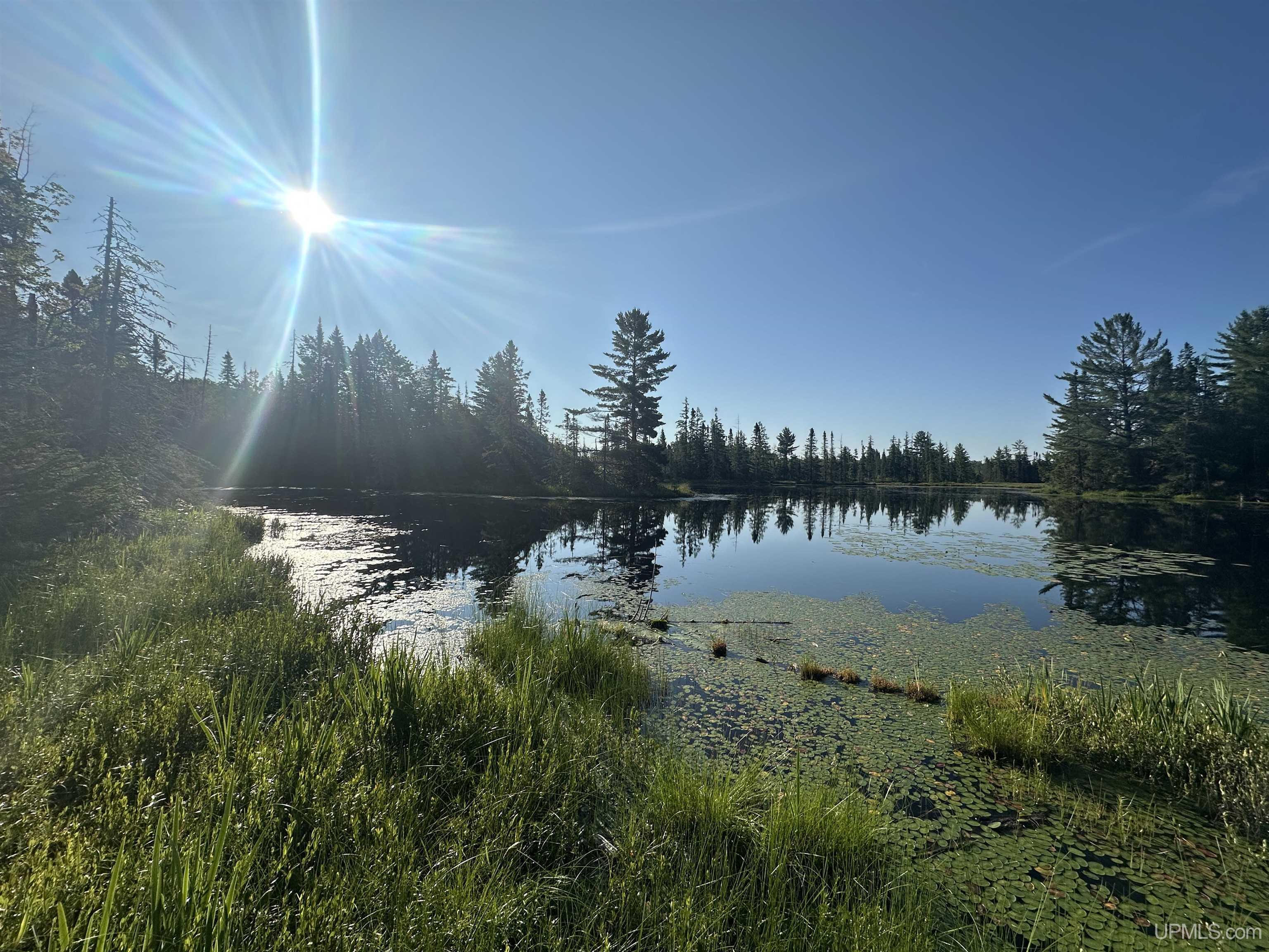 Lake Arvid Off Indian Lake Road photo 1