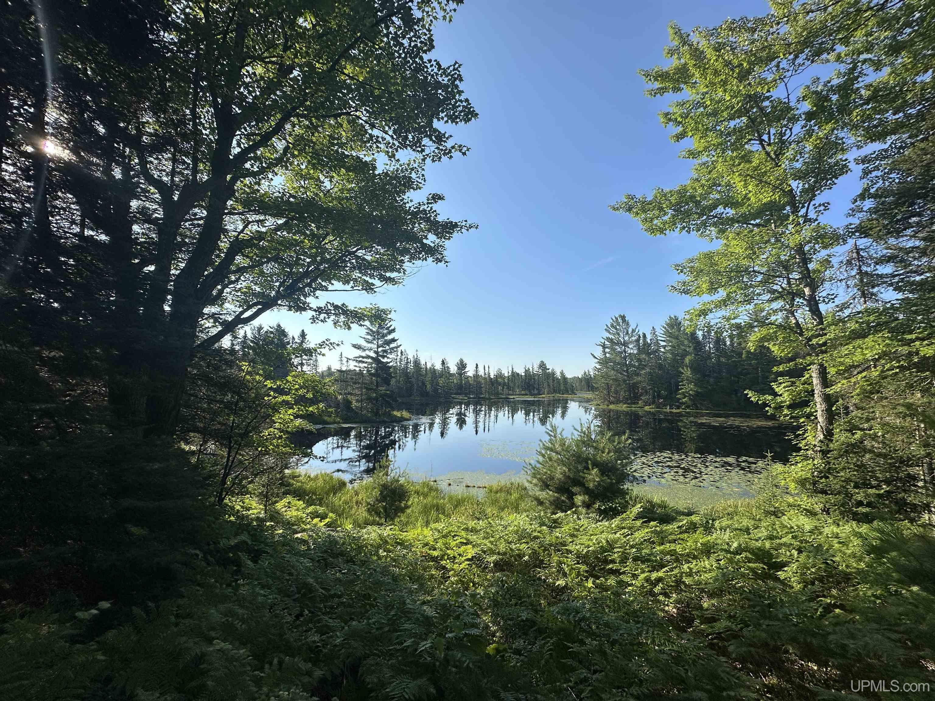 Lake Arvid Off Indian Lake Road photo 2