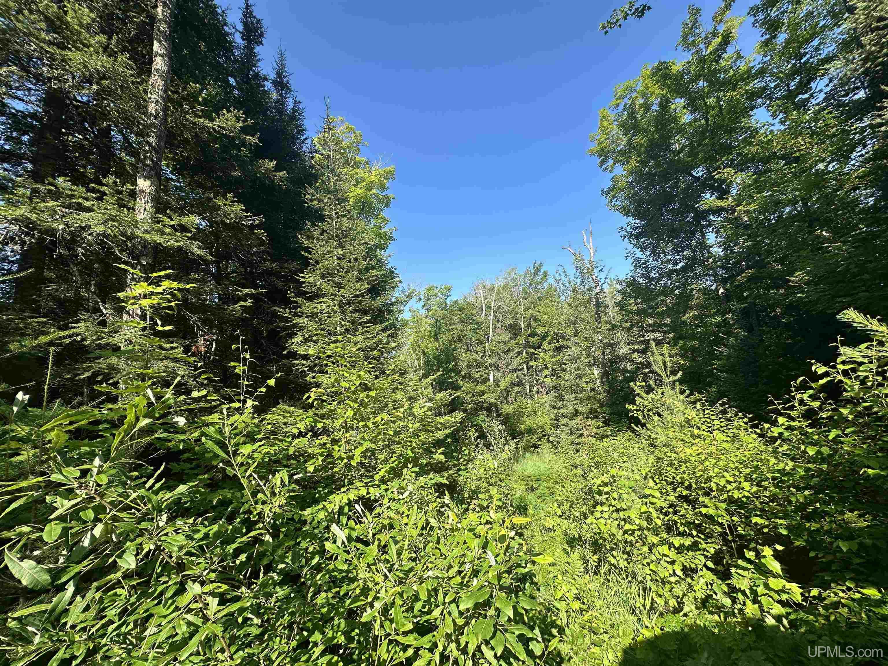 Lake Arvid Off Indian Lake Road photo 11